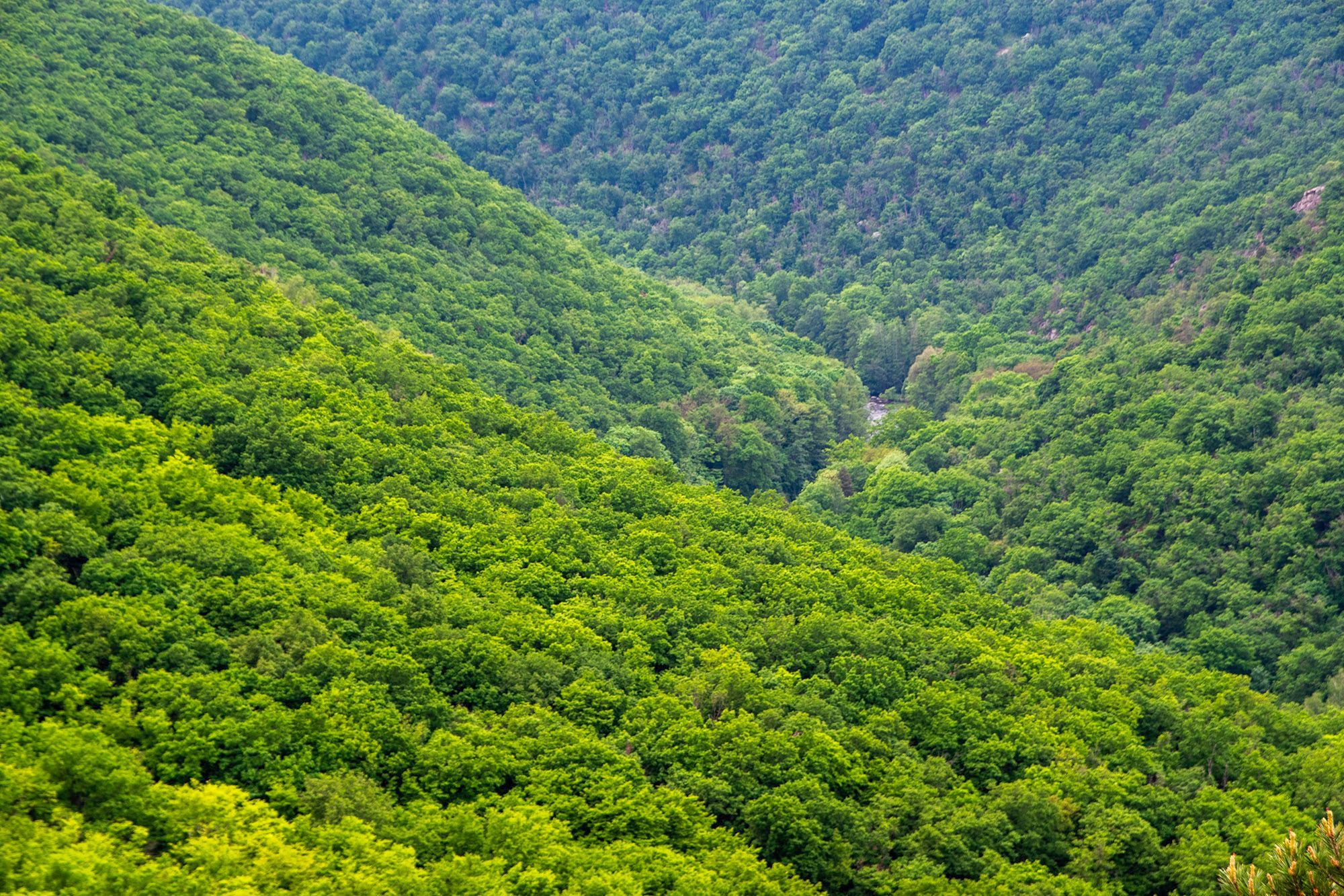 Czeski Park Narodowy Podyjí / Czech National Park Podyjí