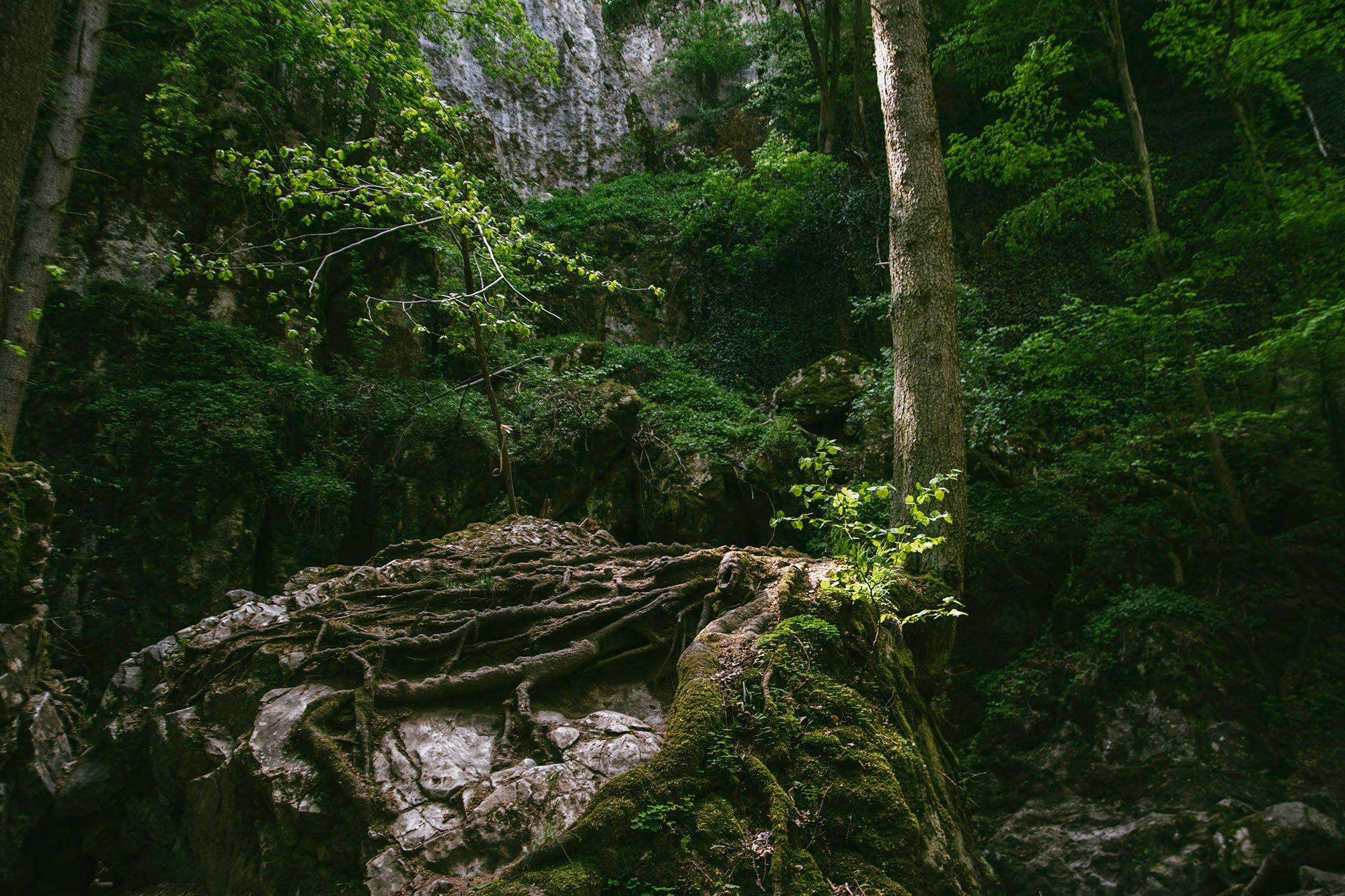 Jaskinie i skały w Rudické propadání (Czechy) / Caves and rocks in Rudické propadání (Czech Republic