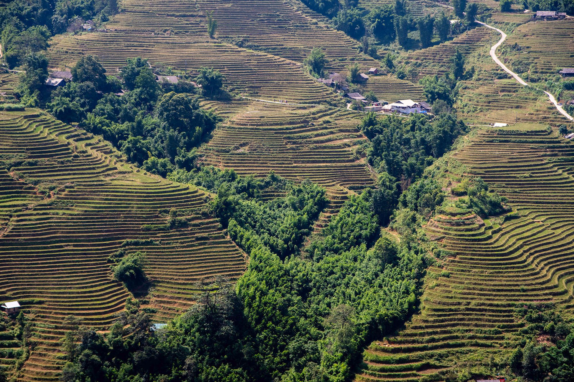 Trekking w Sapie (Wietnam) / Trekking in Sapa (Vietnam)