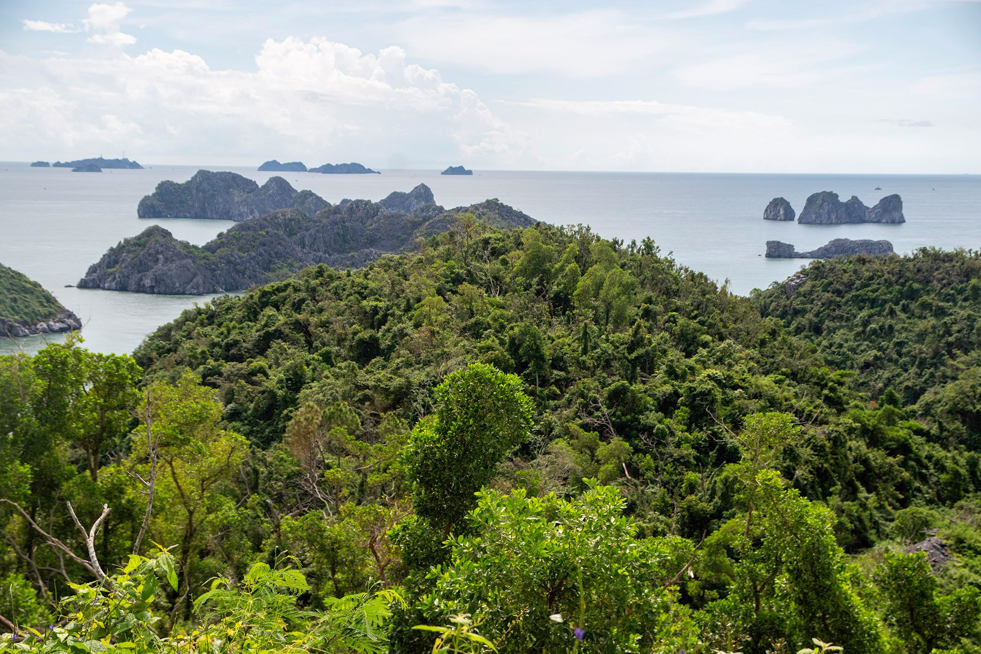 Cát Bà (Vietnam)
