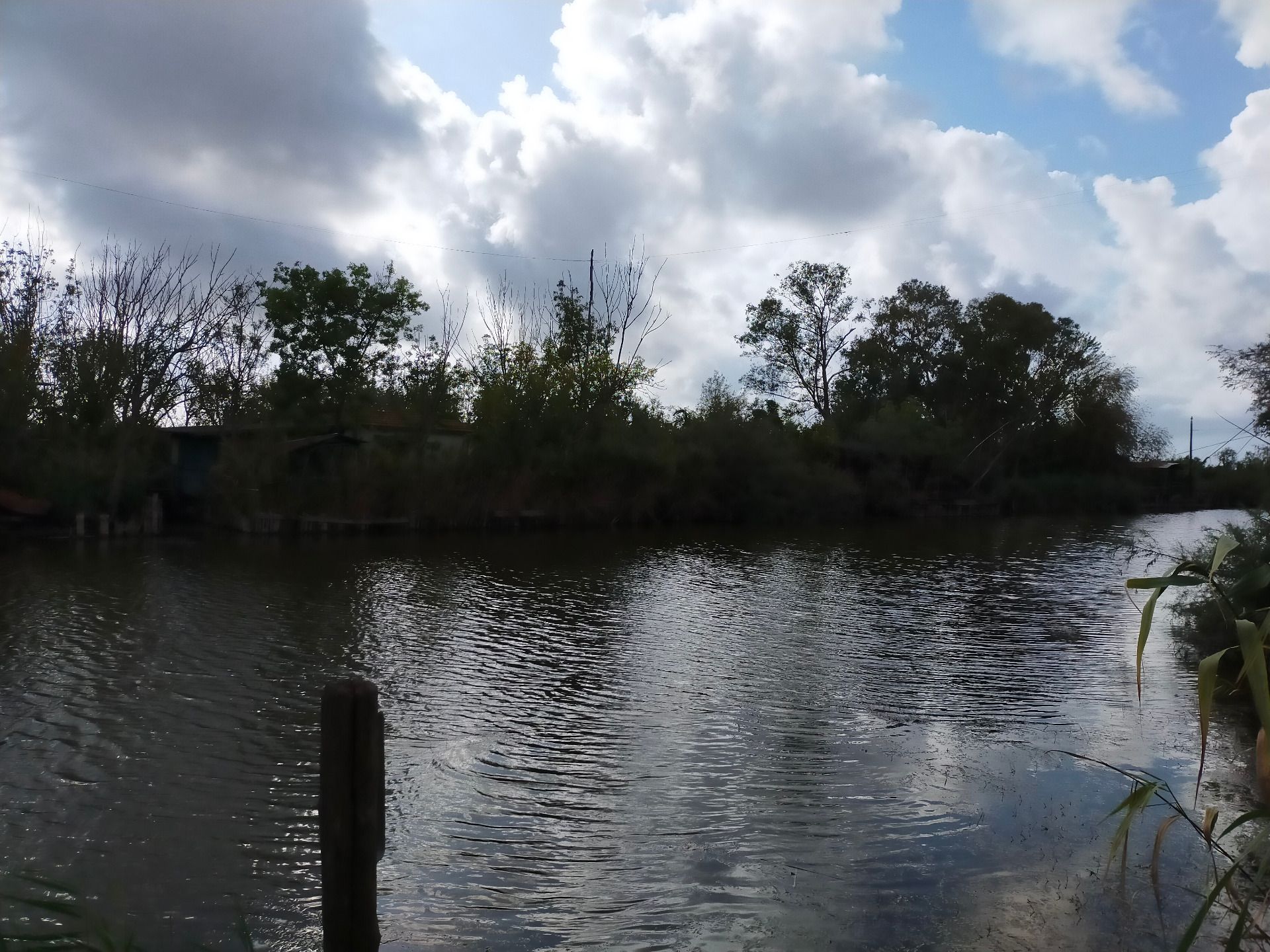 Lake Massaciuccoli