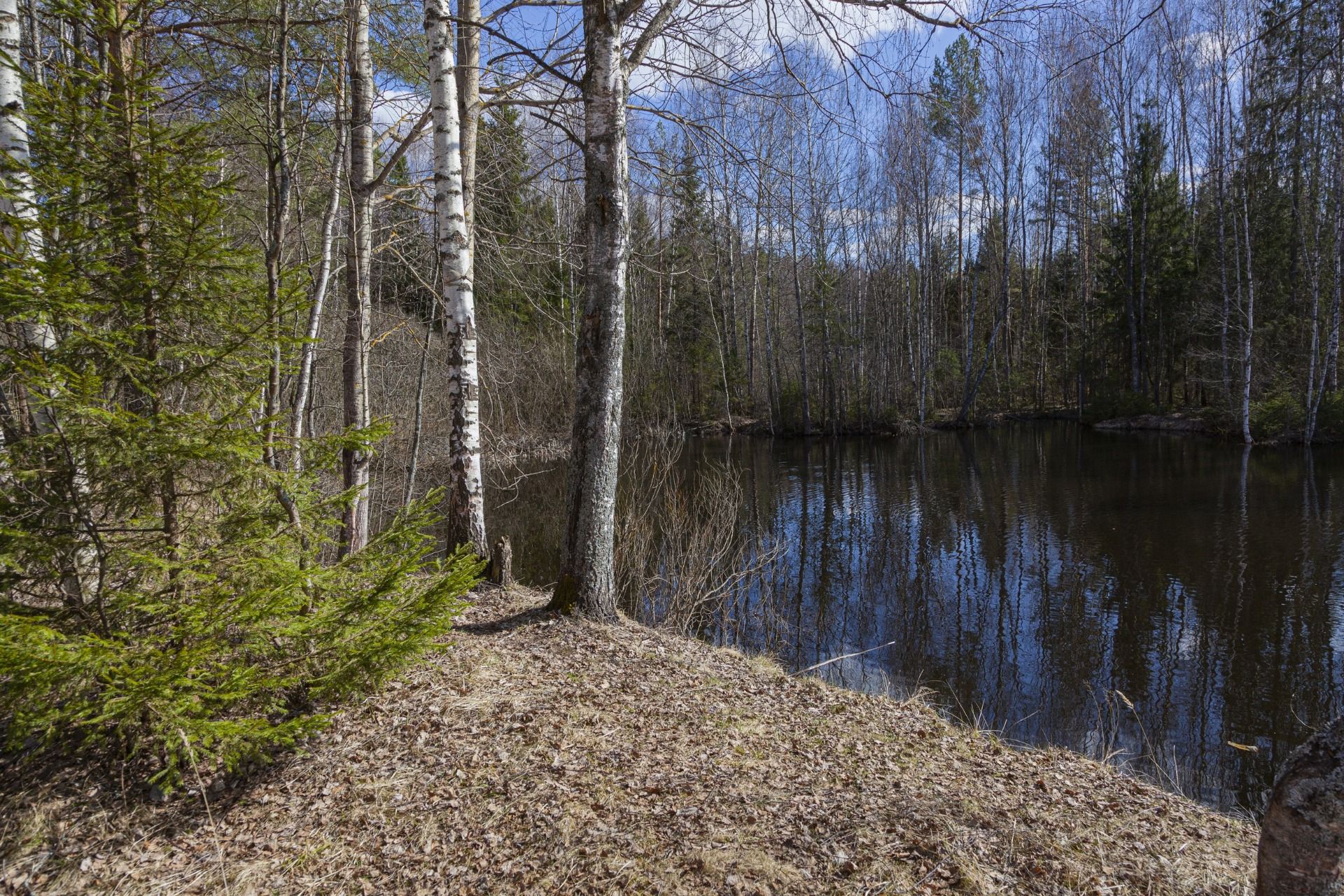 Russian spring. A few moments.