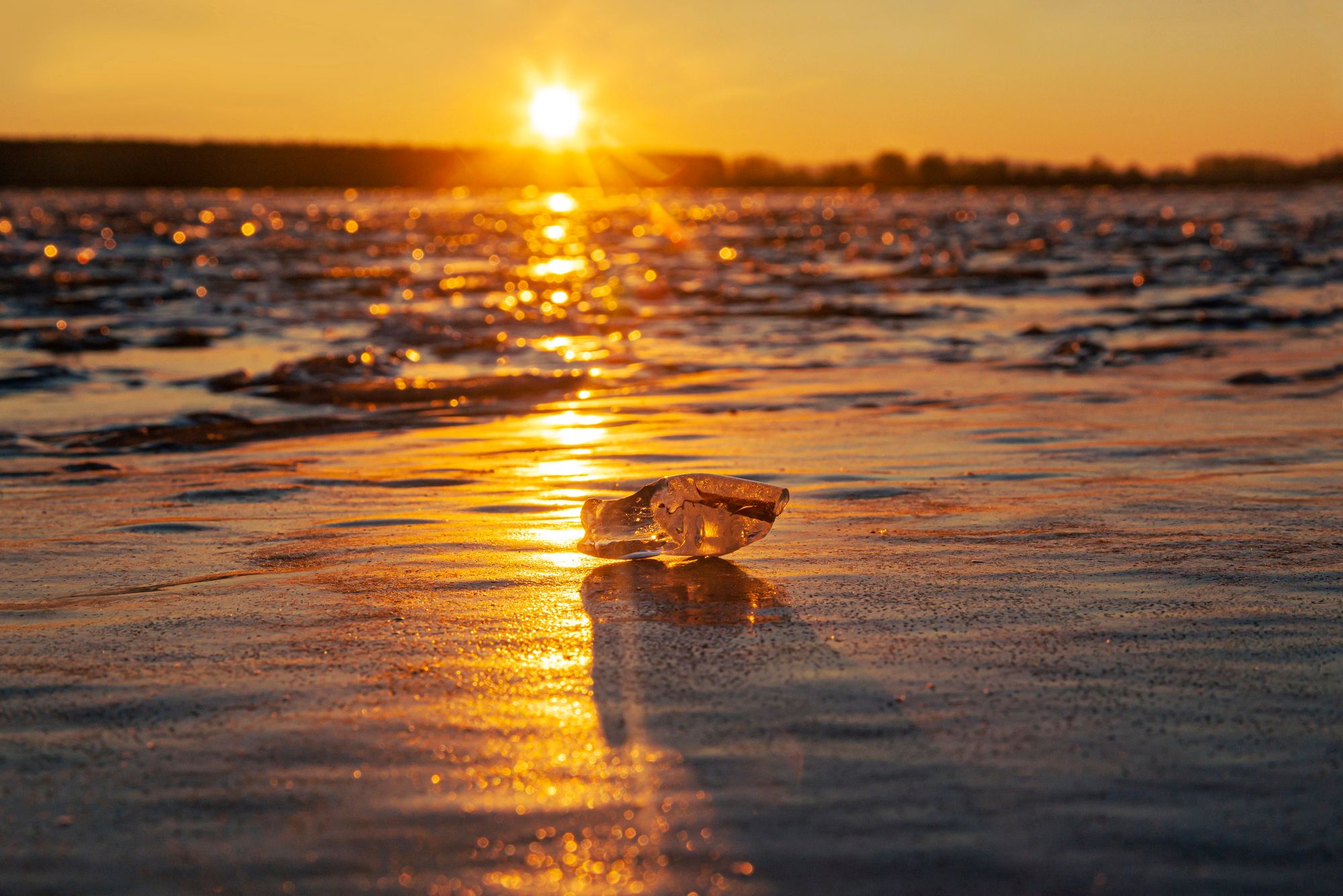Lying on ice