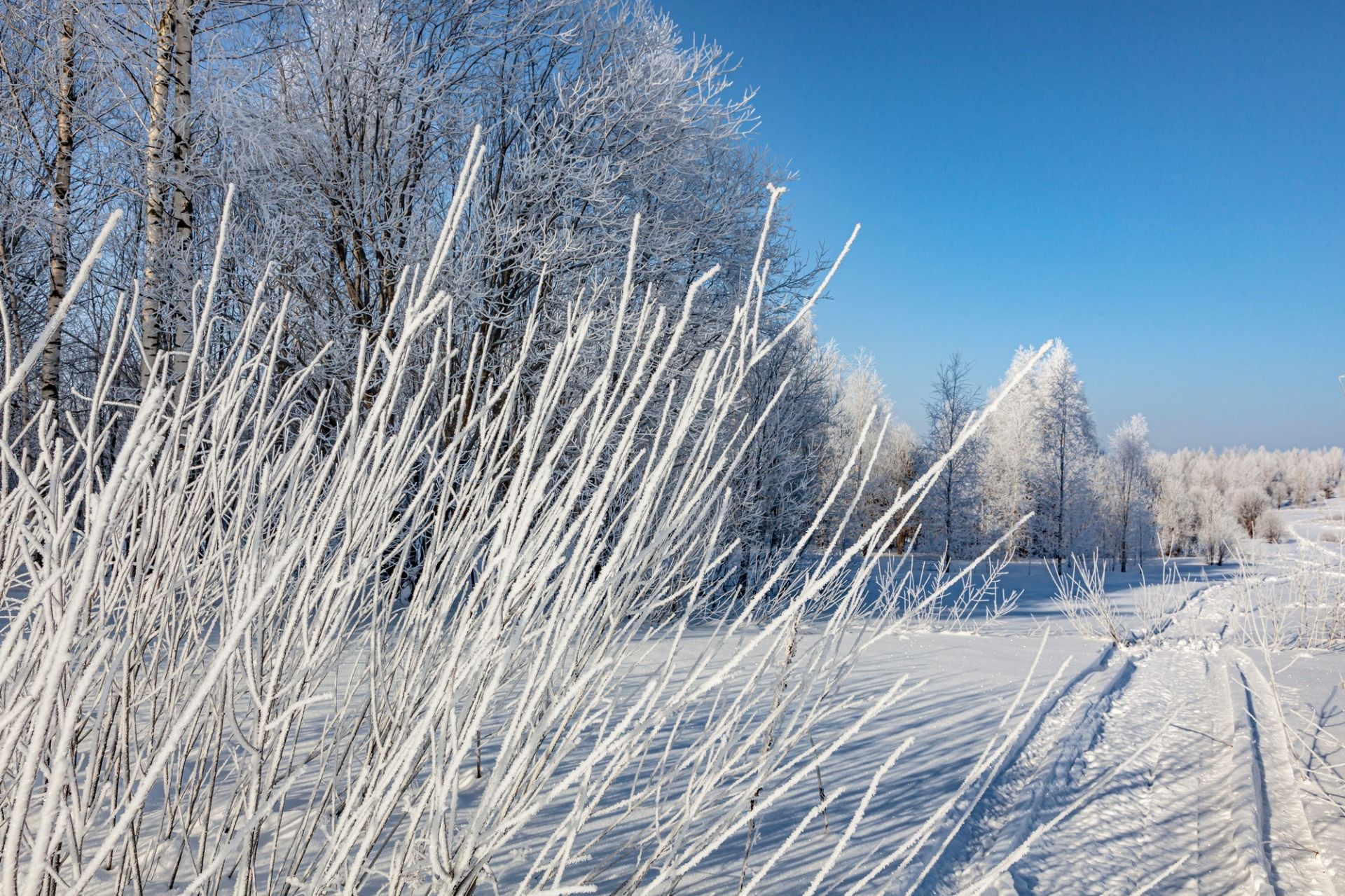 White Snow in Russian lands 