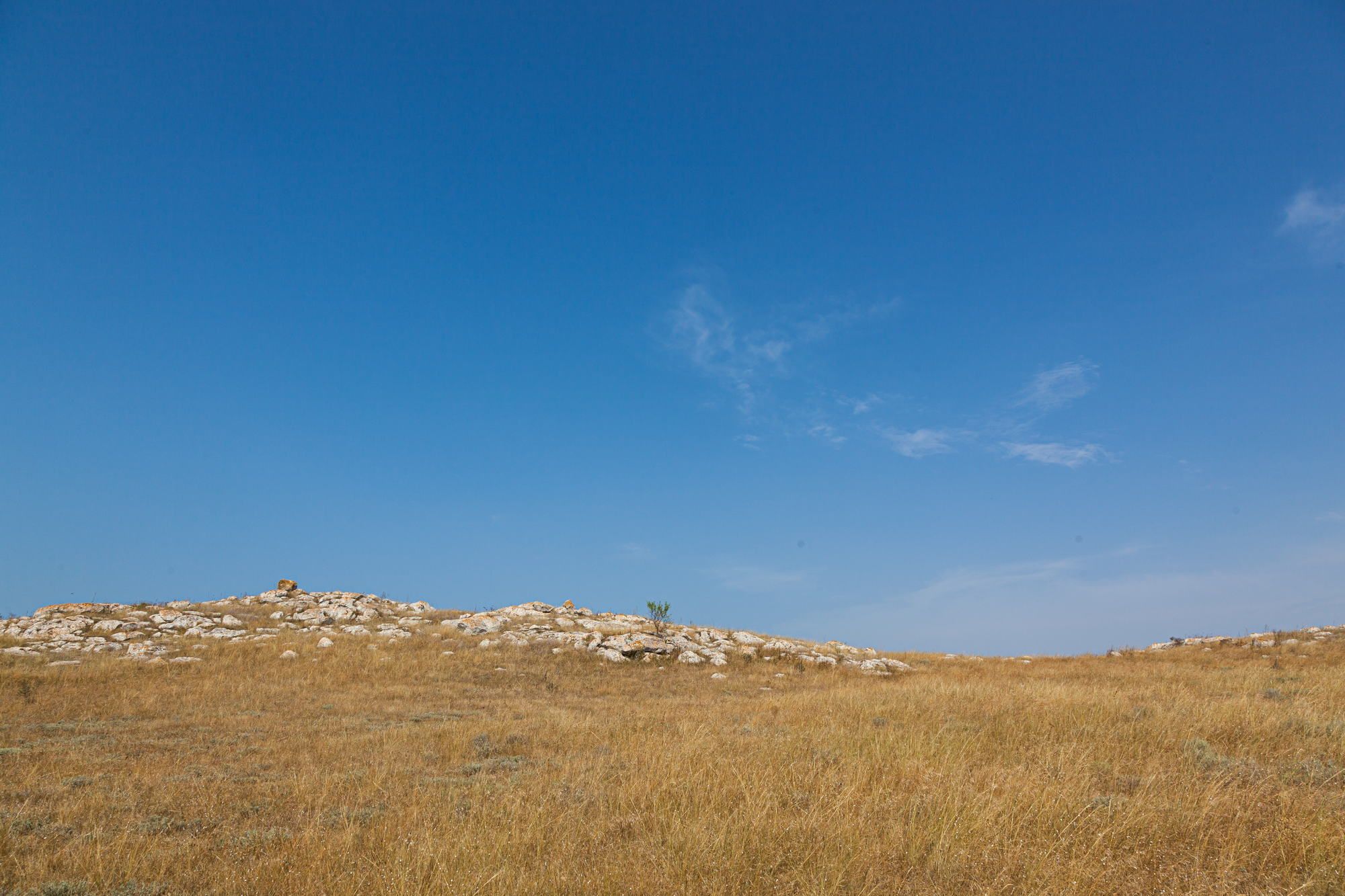 Waiting for the vacation