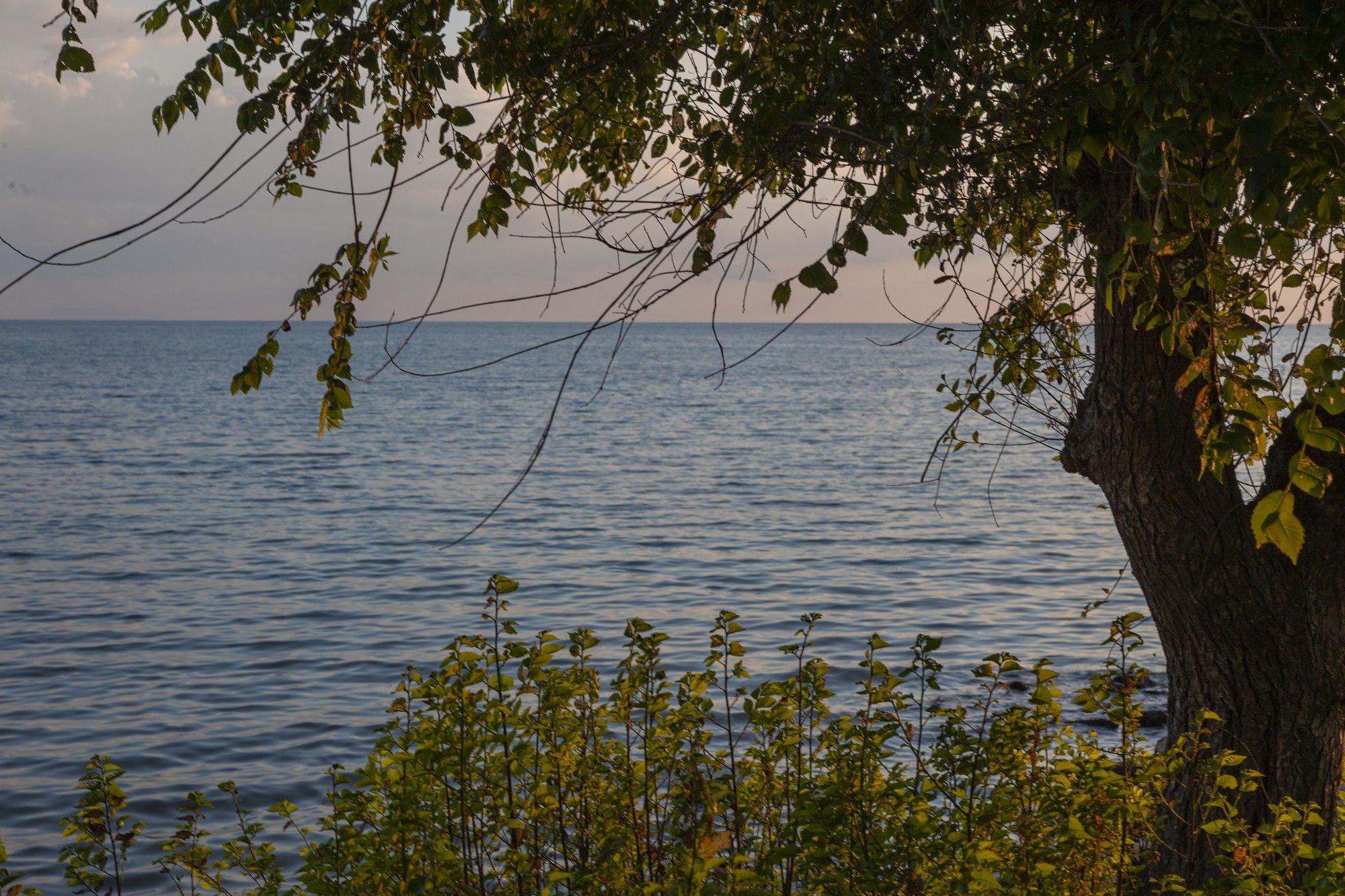 First day by the sea