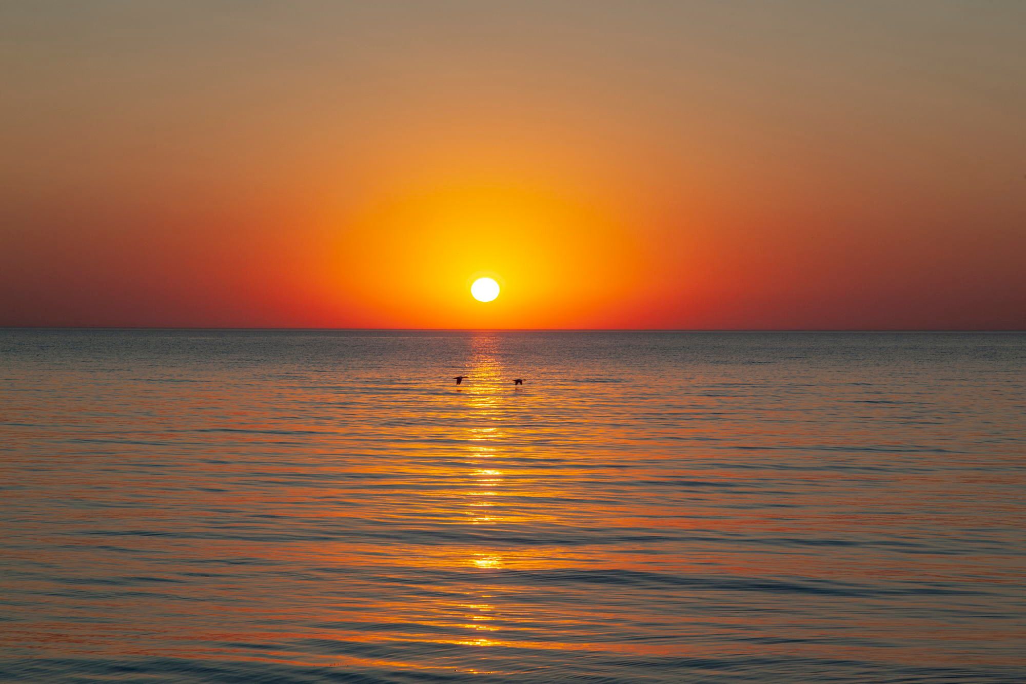 Red sunset
