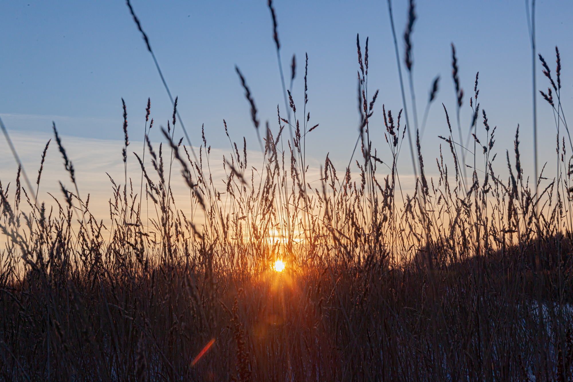 
In the start of this winter