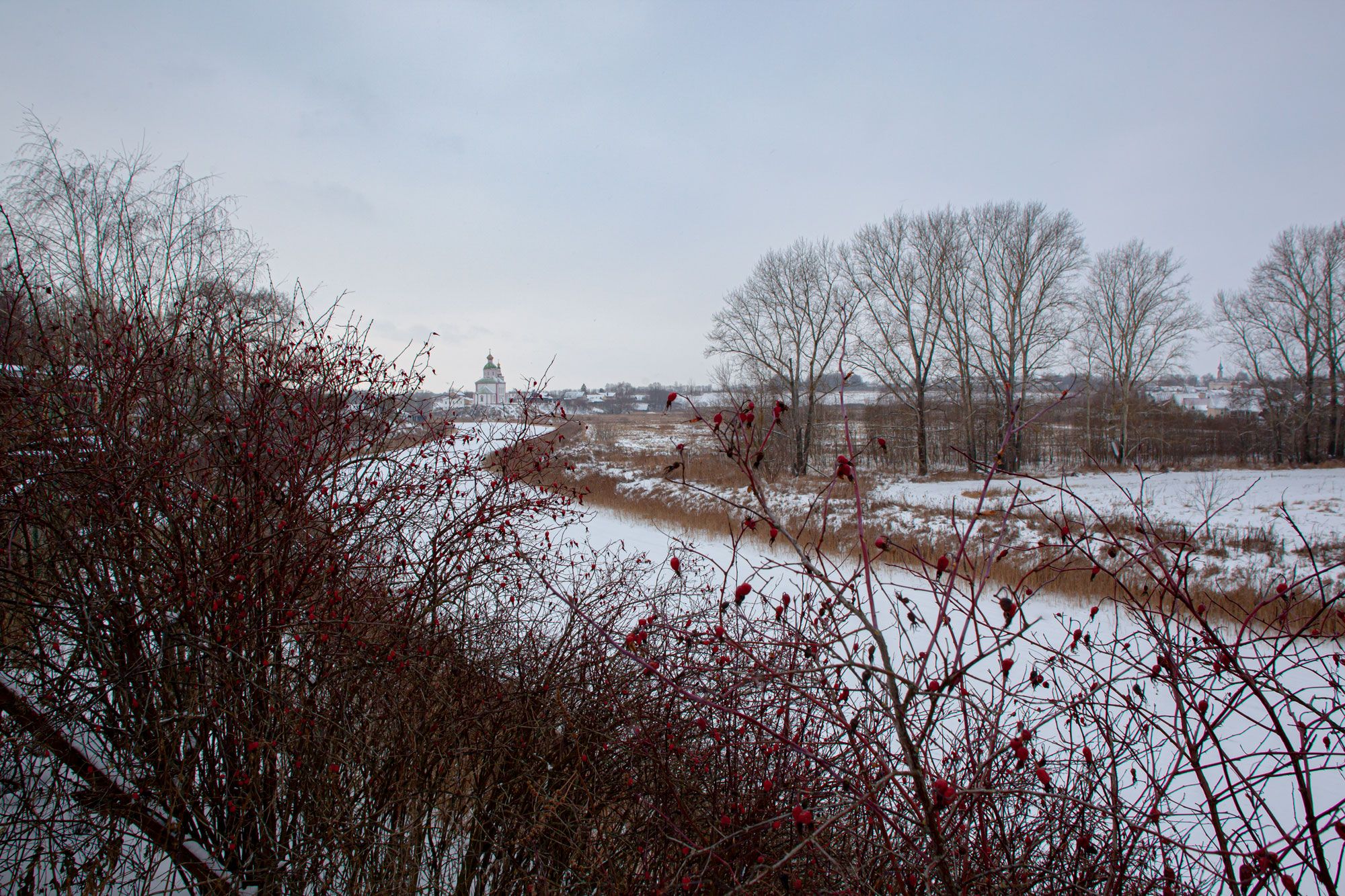 Suzdal in a cold winter day