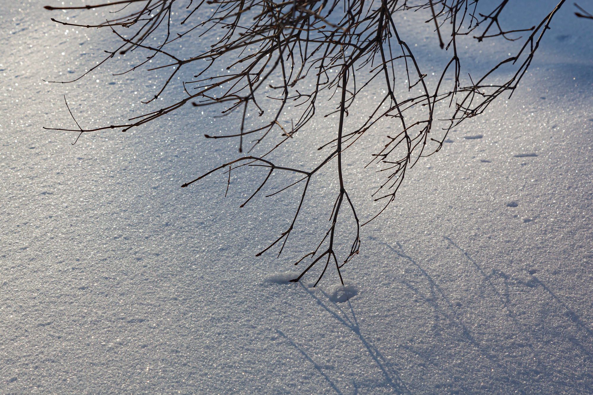 Winter in Nizhny Novgorod. Part 2.