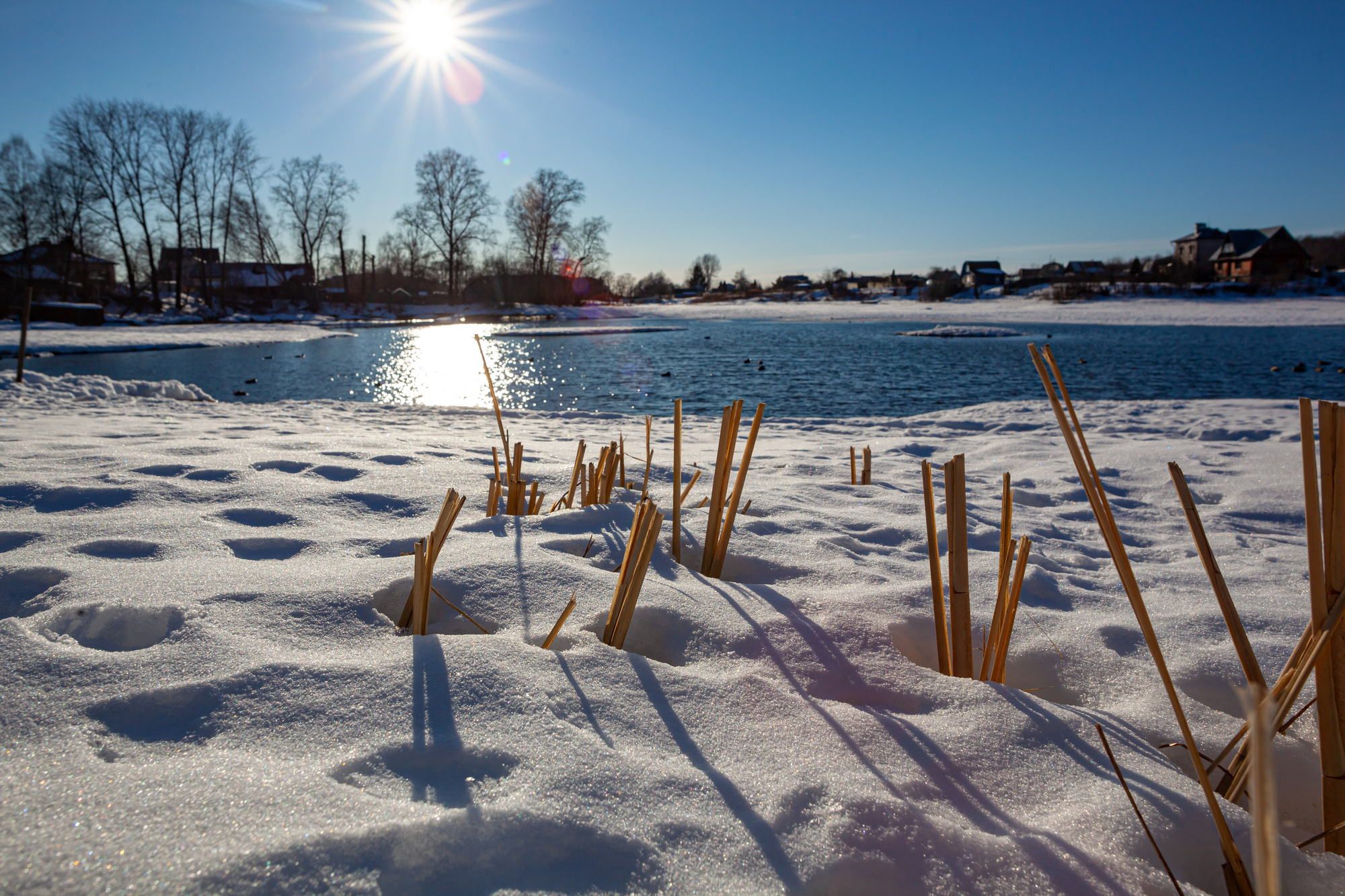 Between winter and spring