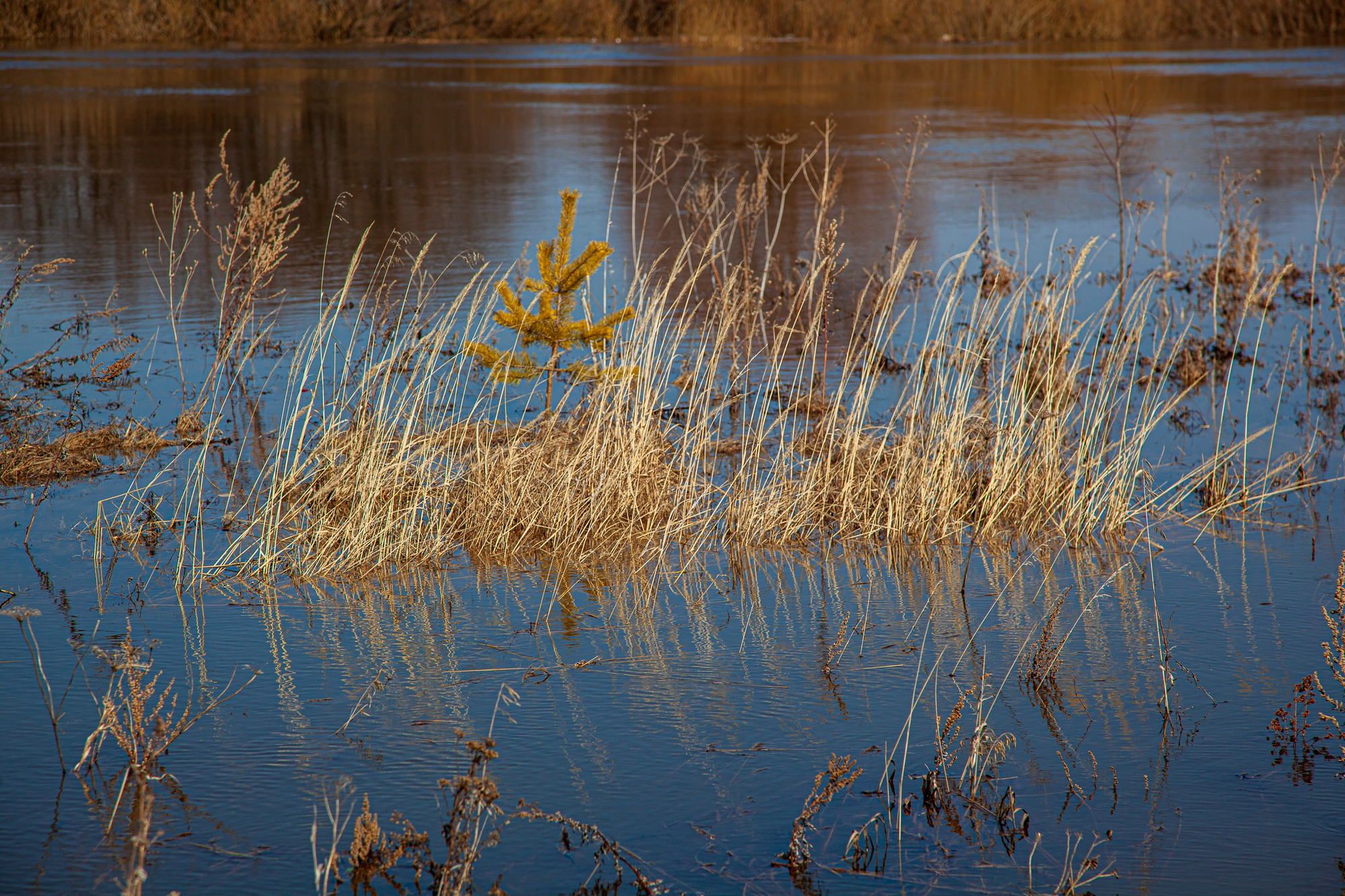 The Temple over the water
