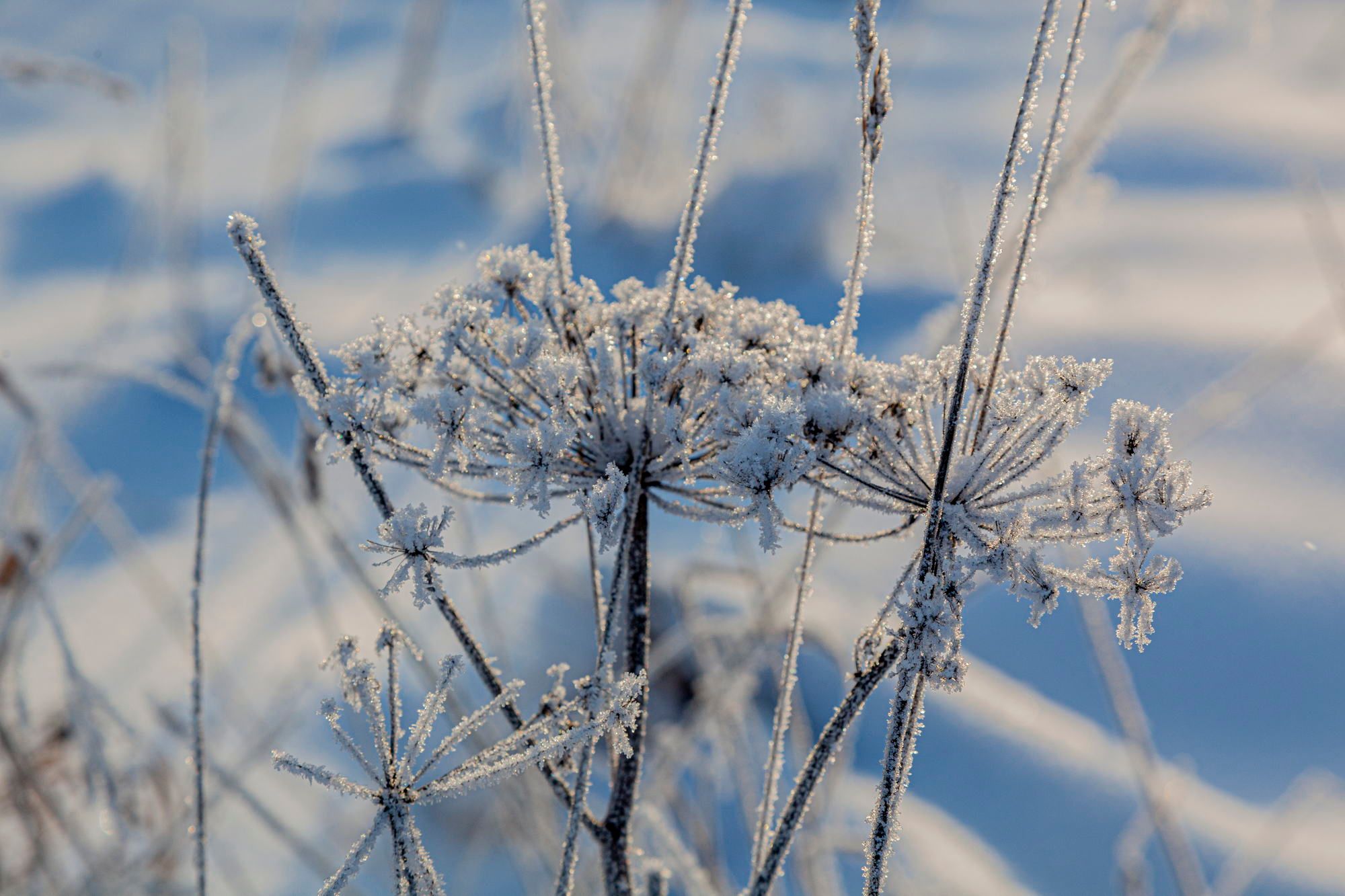 After half of year without travelfeed