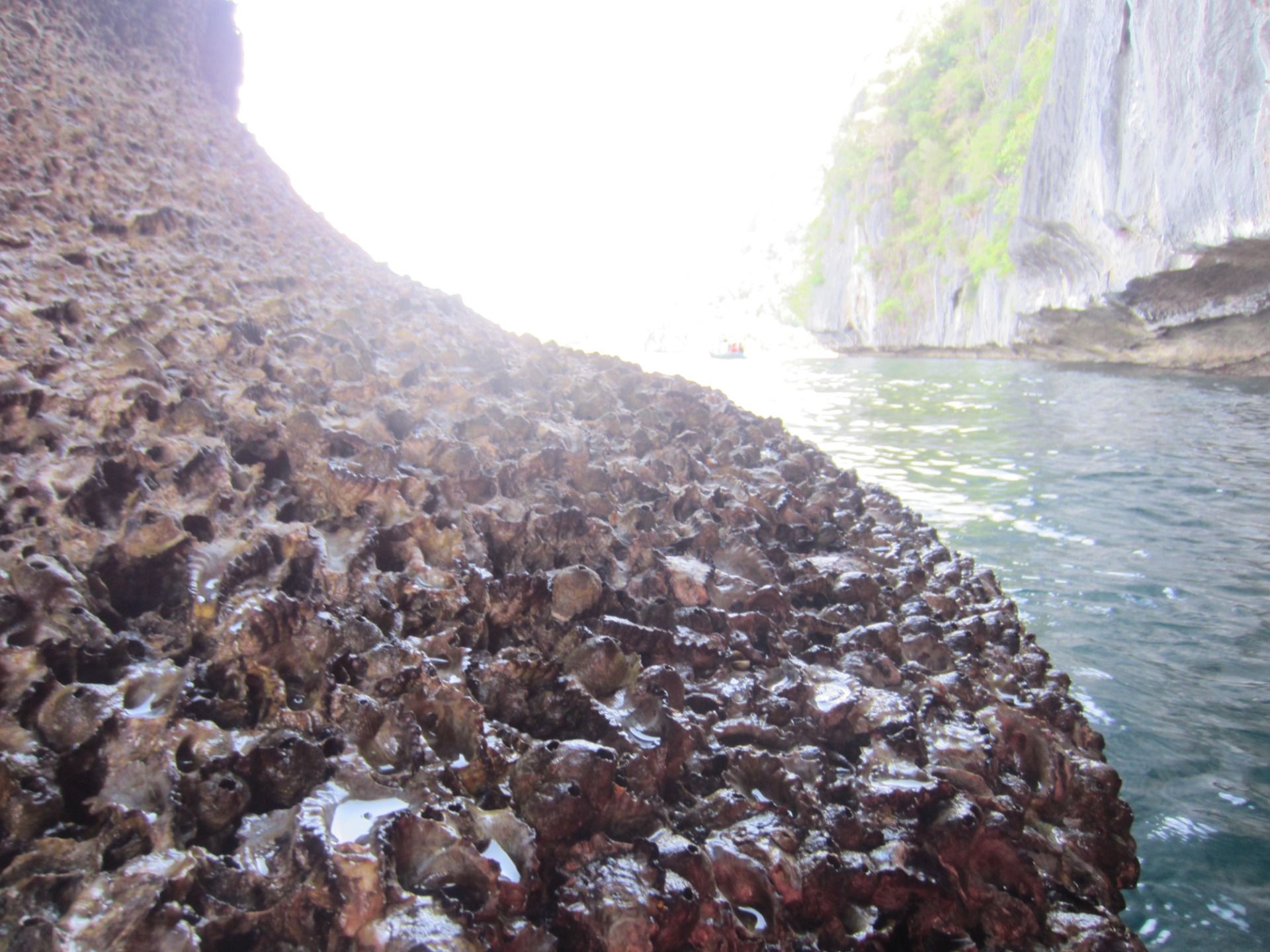 Moving on from the open ended cave we find a lagoon to take a dip in.