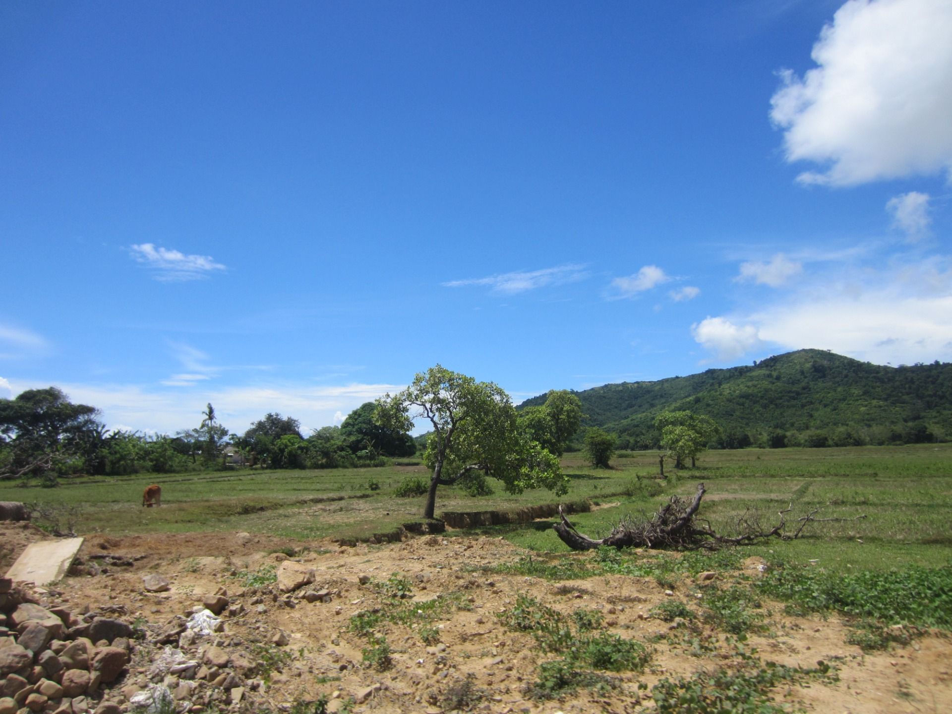 I love how the landscape changes so quickly here. We went from dry arid to lush and growing so fast.