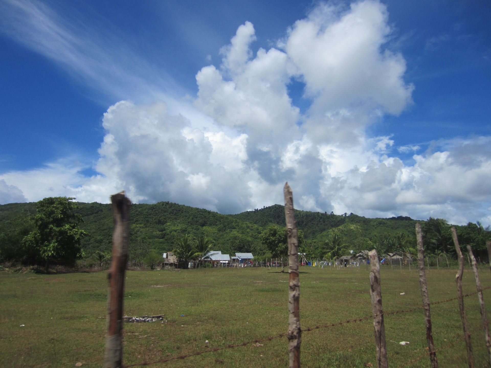 The fields of growth surrounded by protection for both.