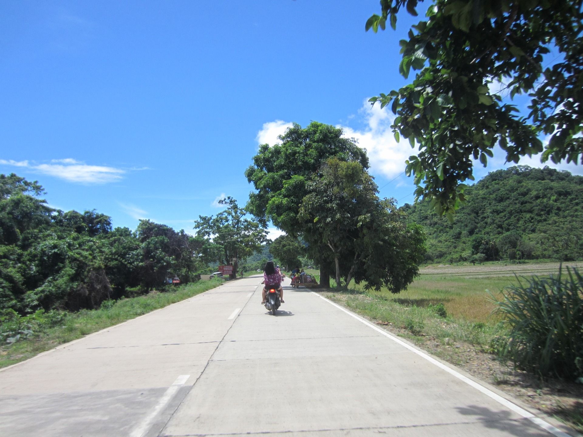 I wonder if the motor scooter in front of us are heading the same way?