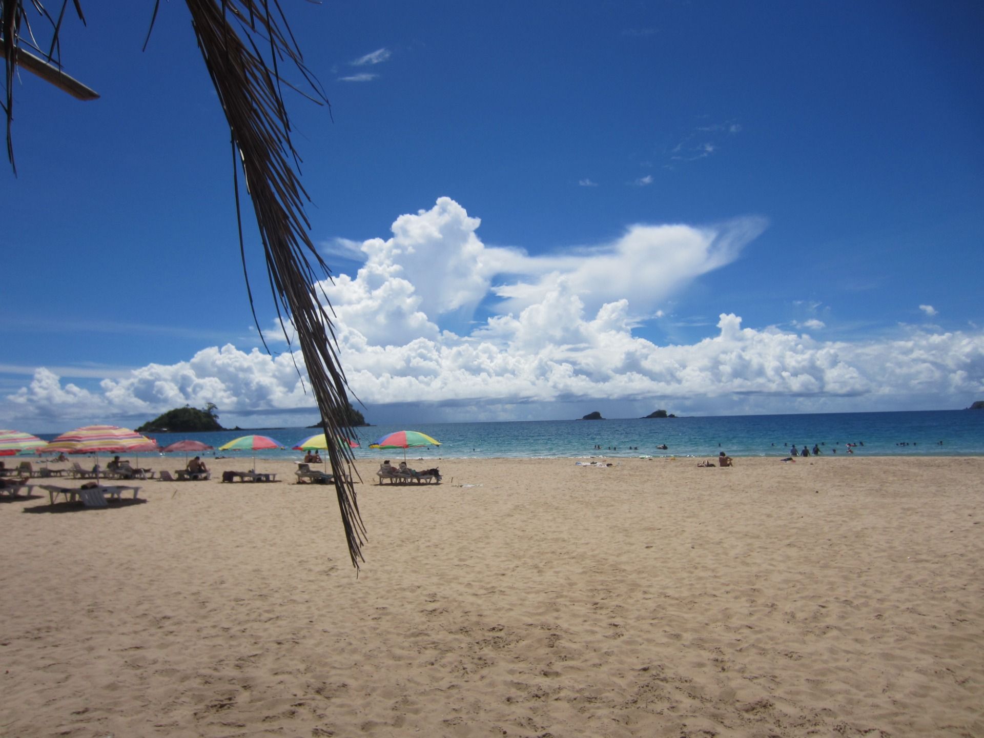 Time for a dip in the shade.