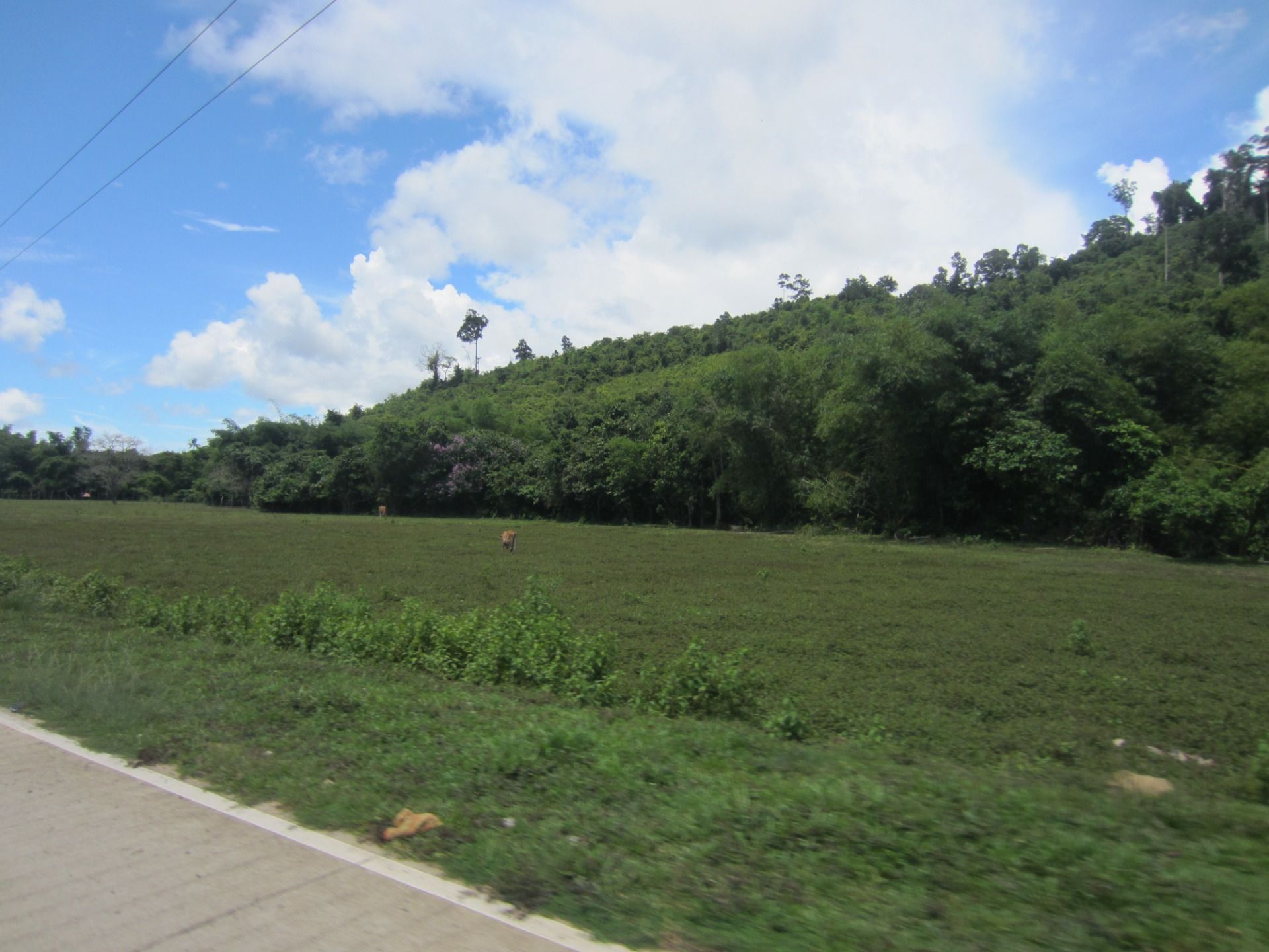 The other side of the road. Look, behold what you see.