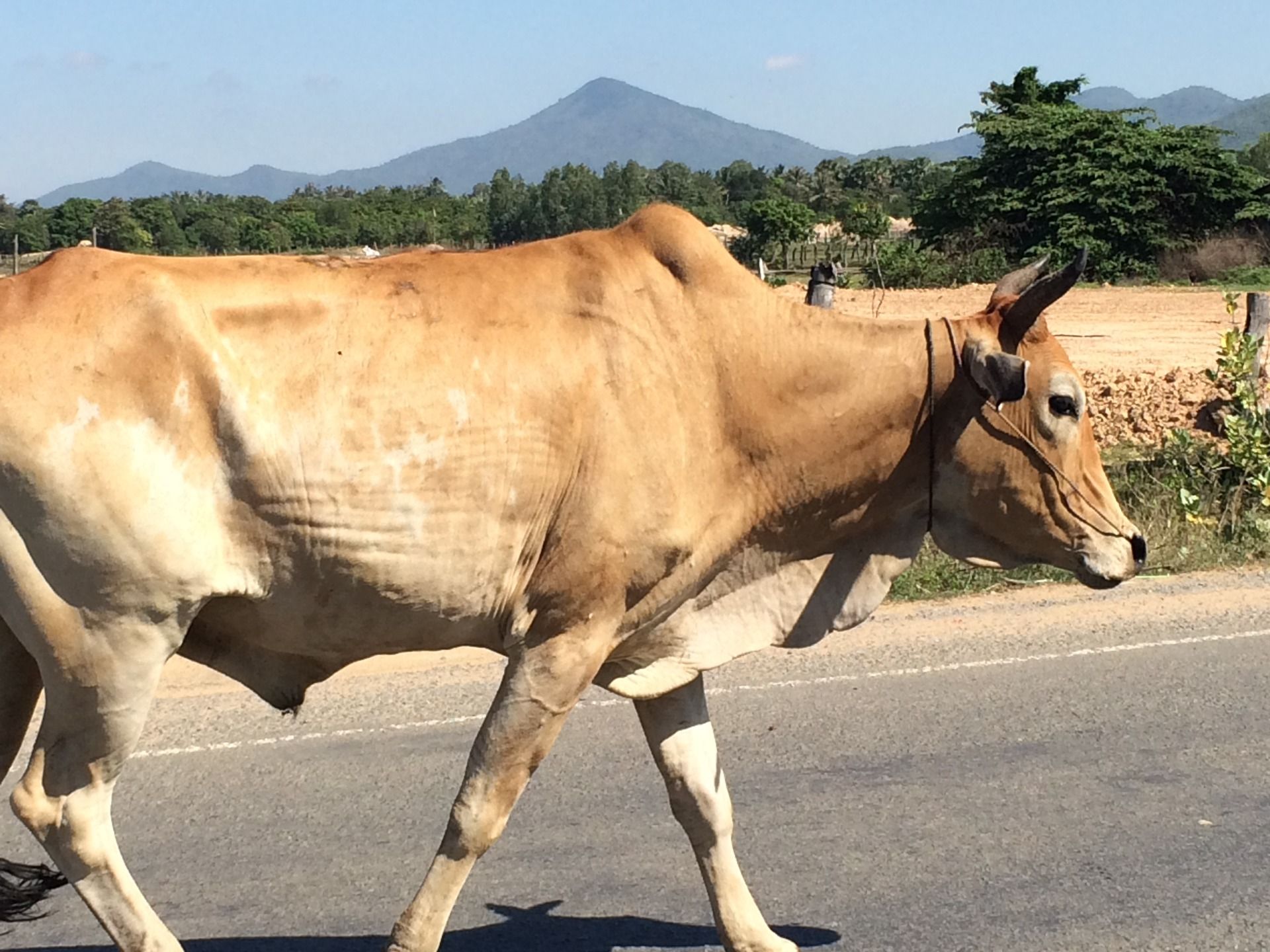 Hey there. Nature and humanity all together living together.