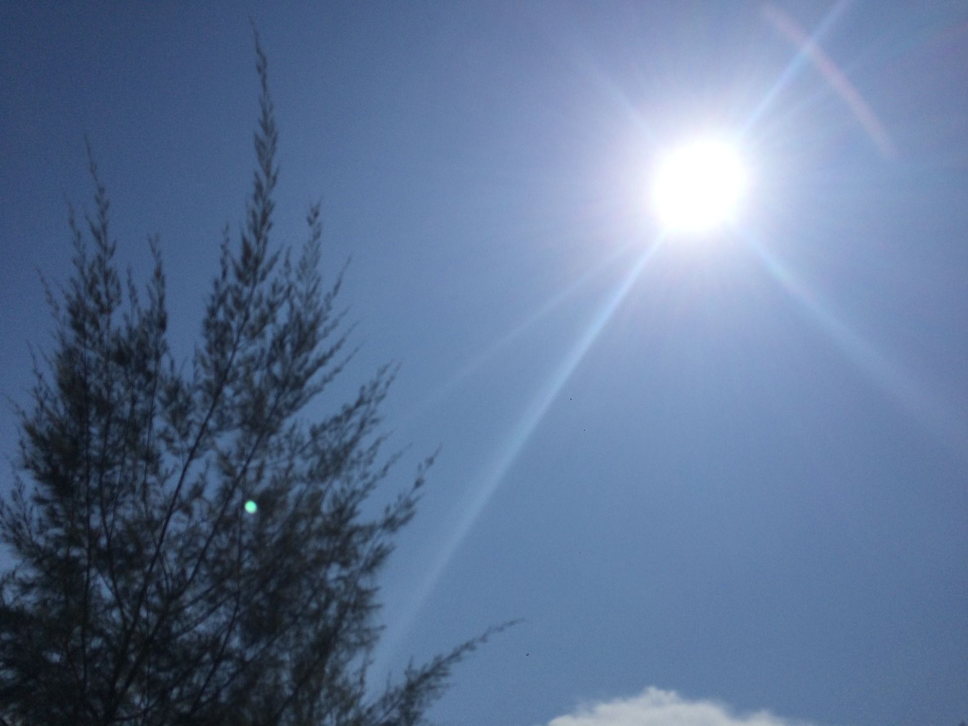 High sun and it is time to head back to get some work done for the rest of the day.