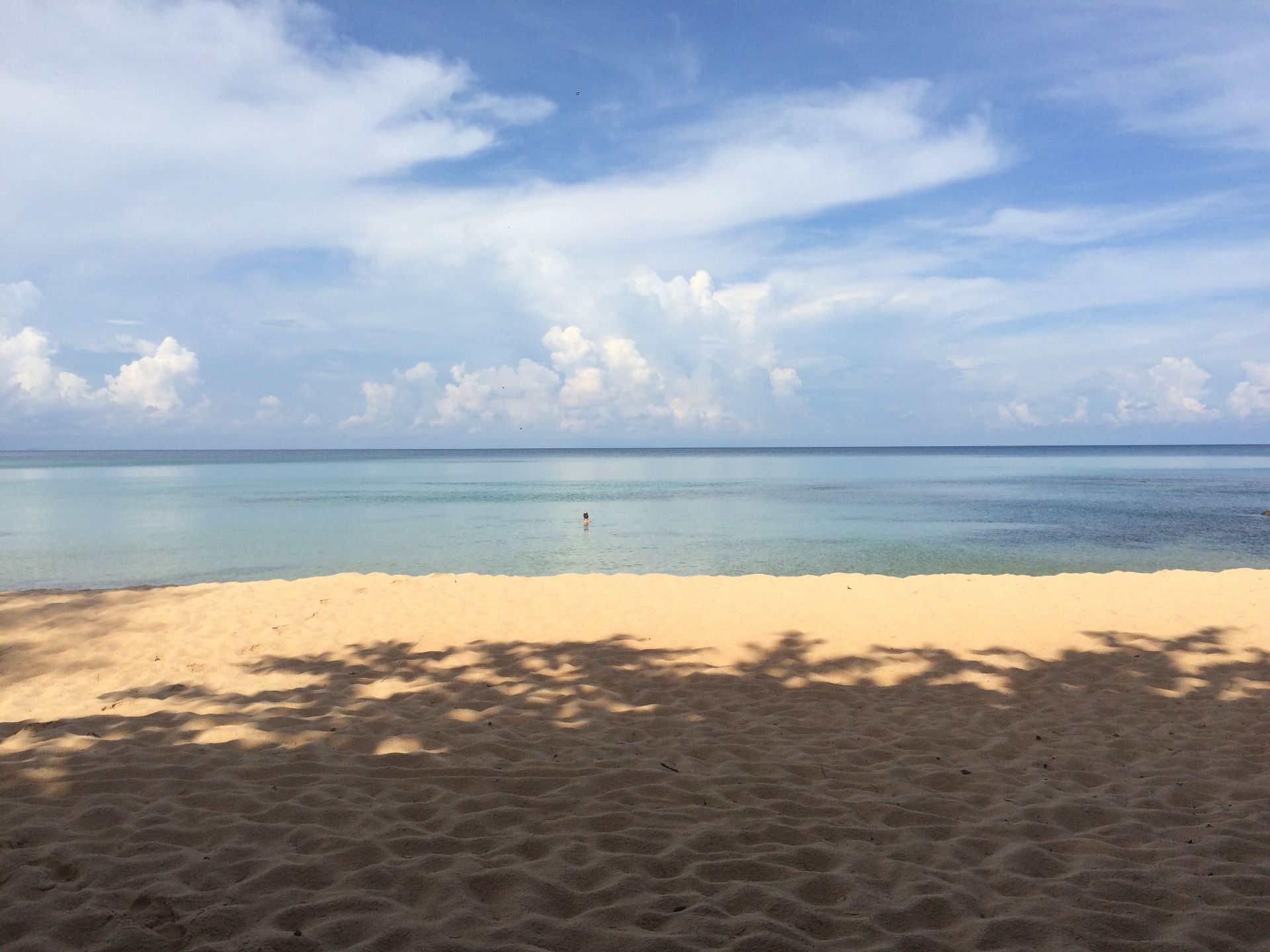 My friend is already in the water. Slipped in while I was wandering around the forest.