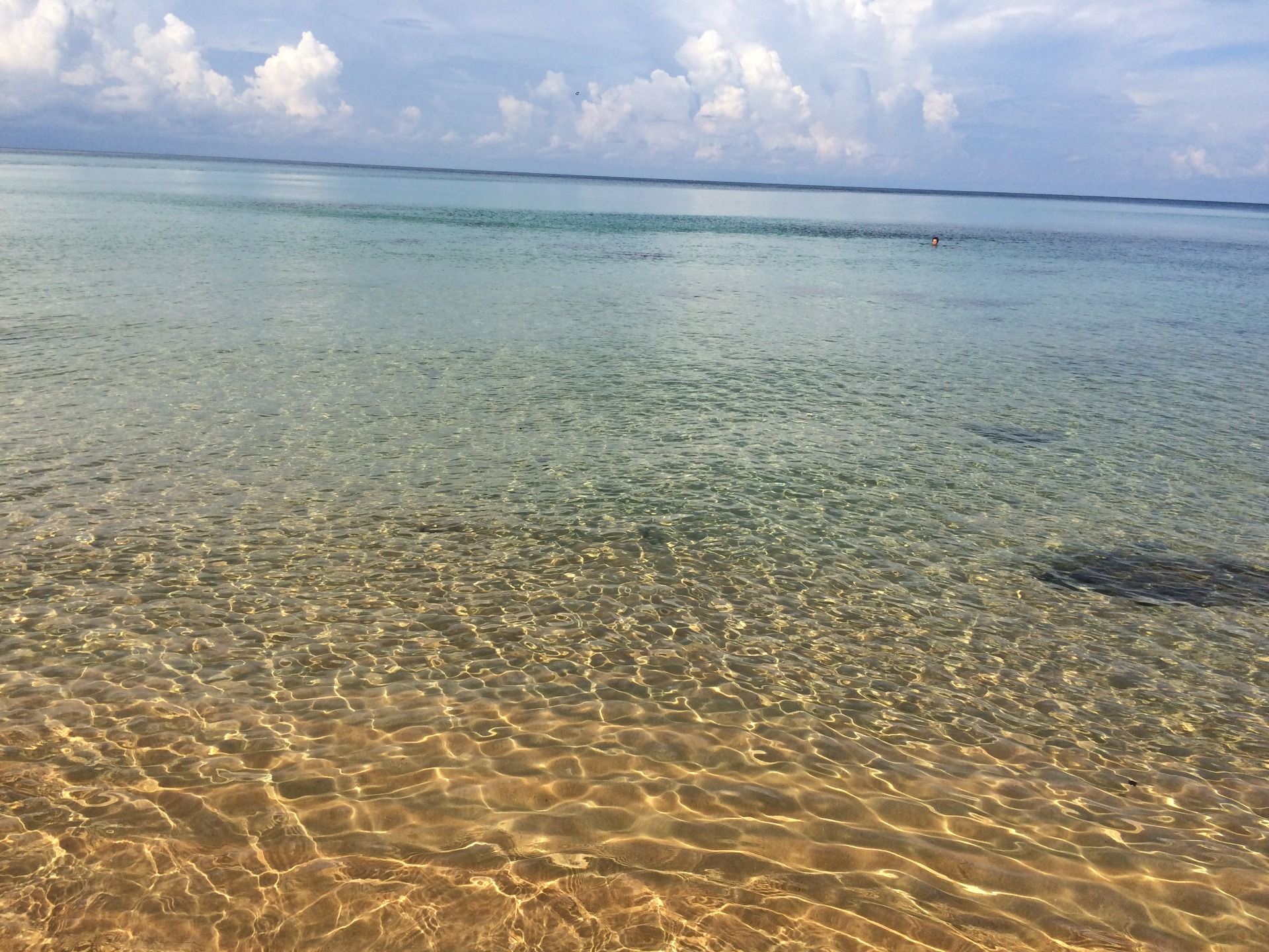 Is that dark patch a Manta ray ?