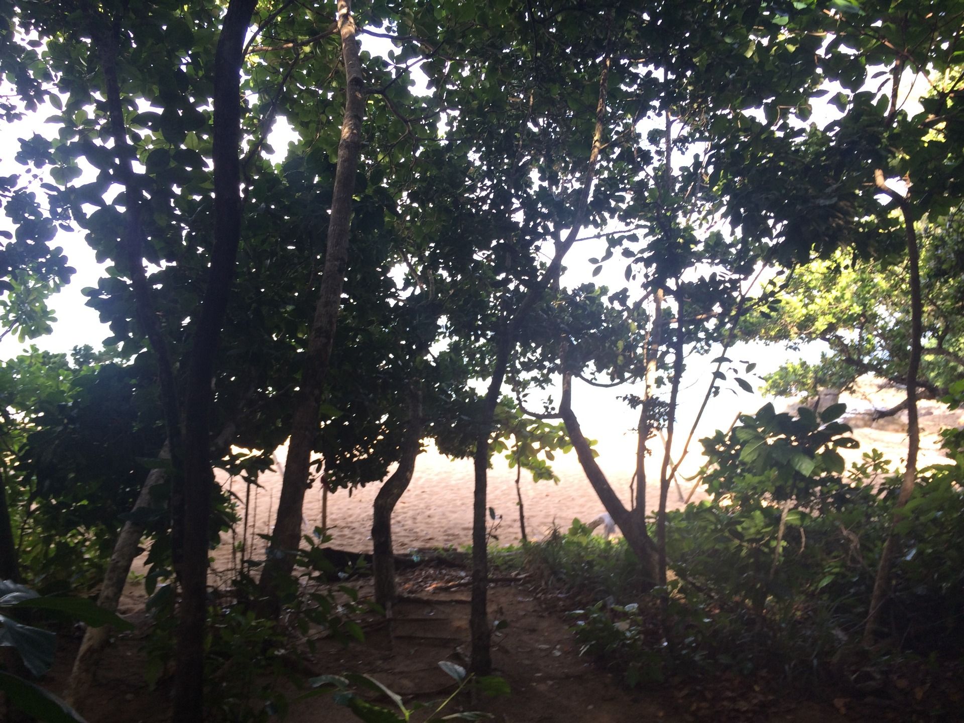 A few more steps to the sandy shore.