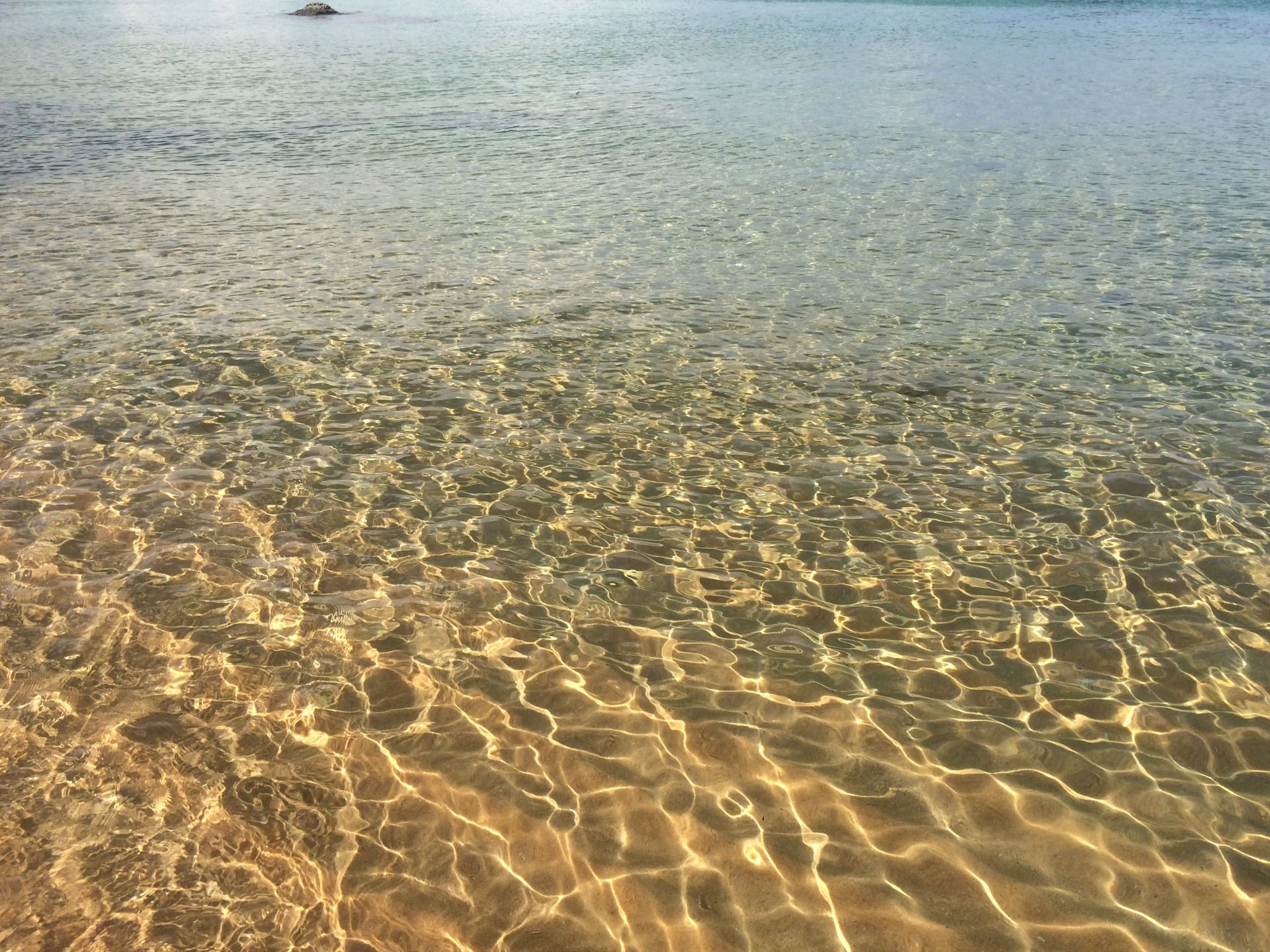 It was just a swirl of decomposing matter floating along with its own city ecosystem going on.