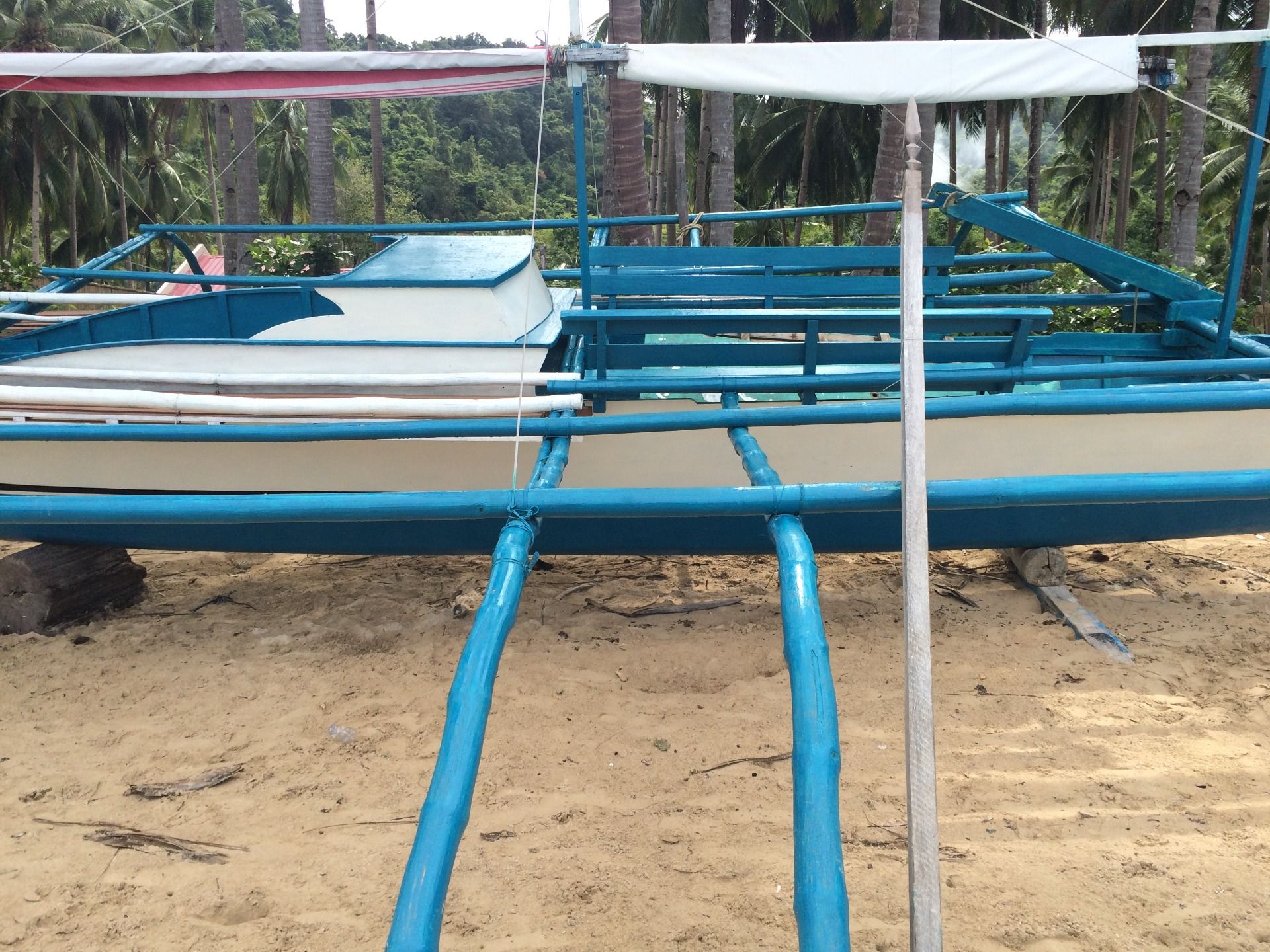 The contrast and lines against the white brings the bright.