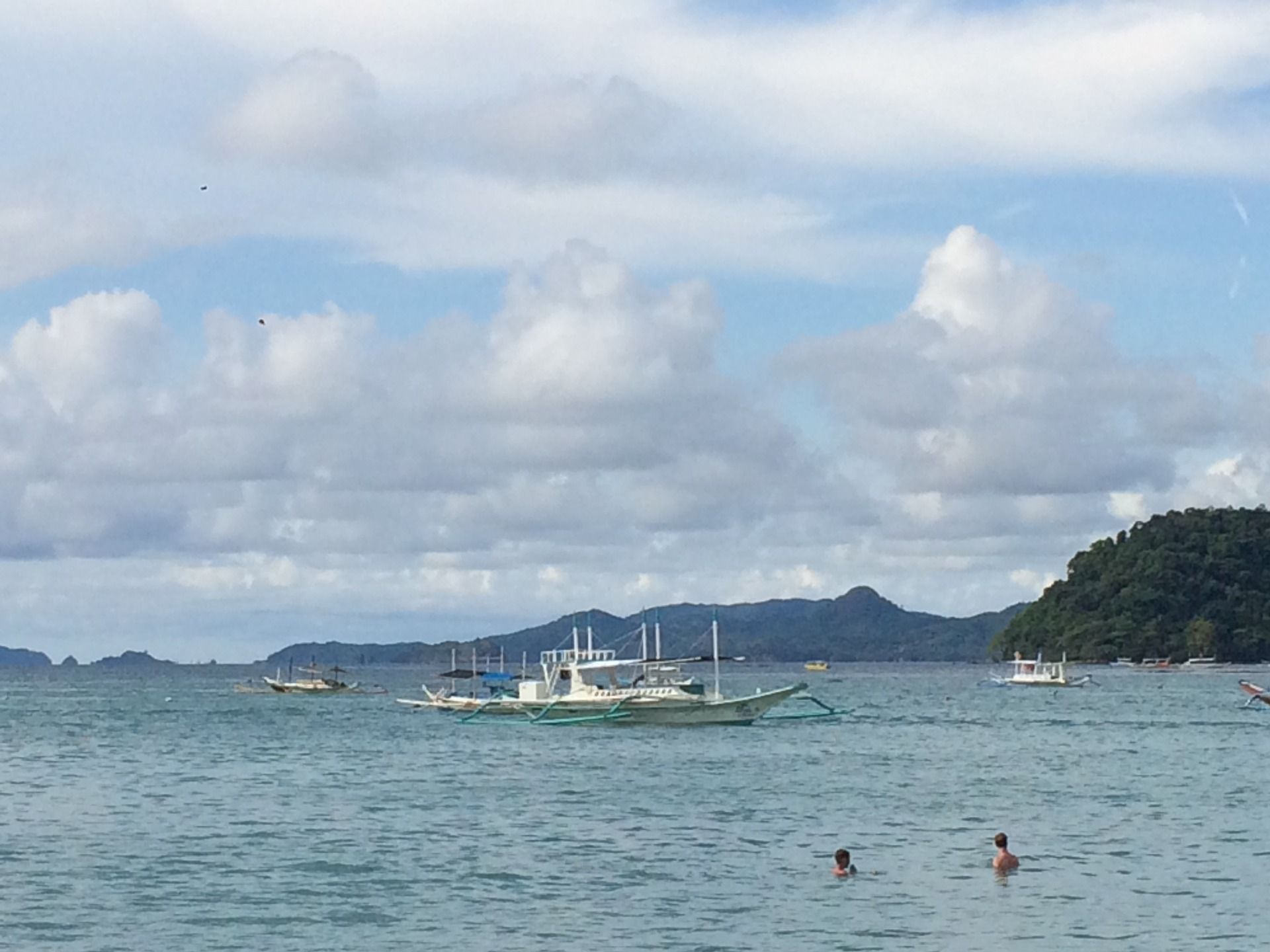 The water is warm, might as well swim.