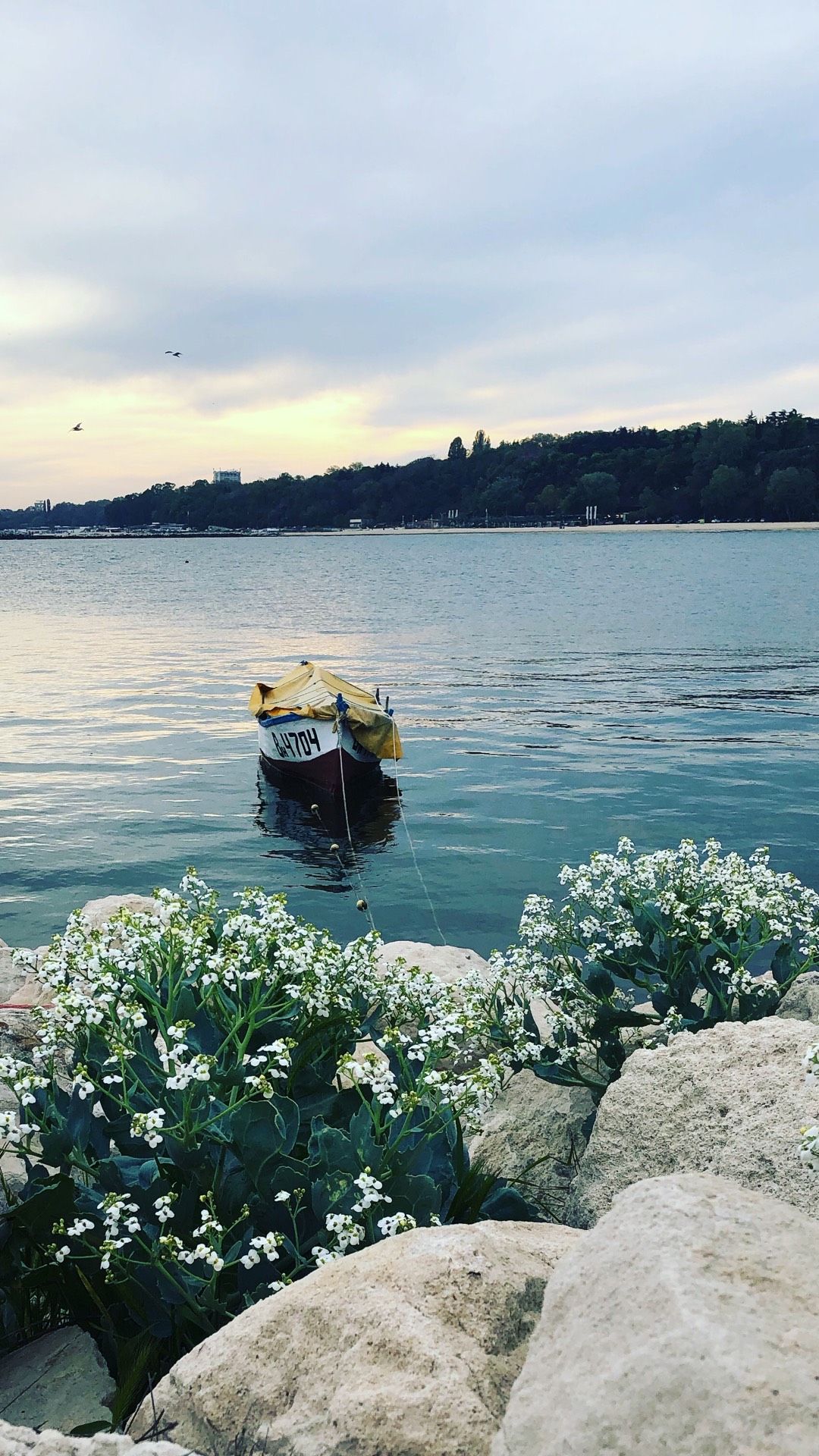 lonely boat