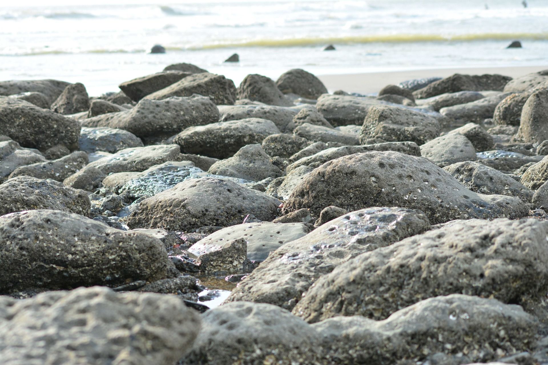 My Travel Feed of Enani Beach, Cox's Bazar, Bangladesh.
