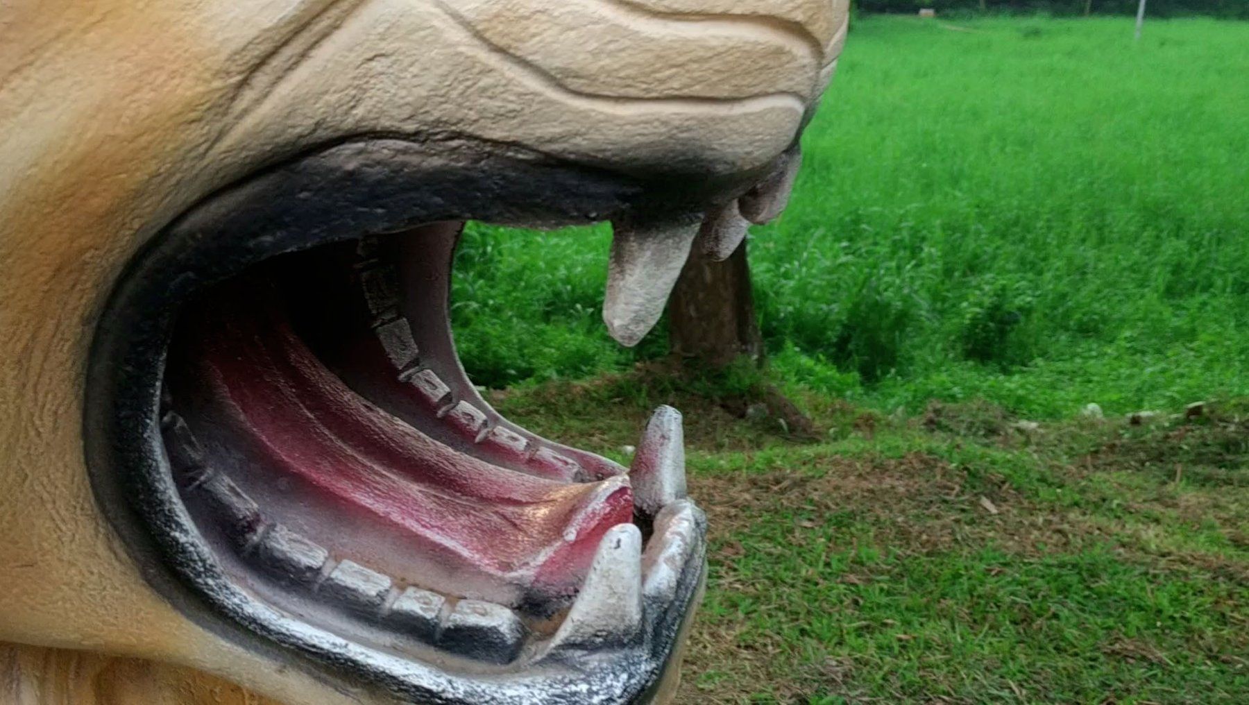 My Travel Feed of Oronnyaloy Mini Zoo, Dhaka, Bangladesh.