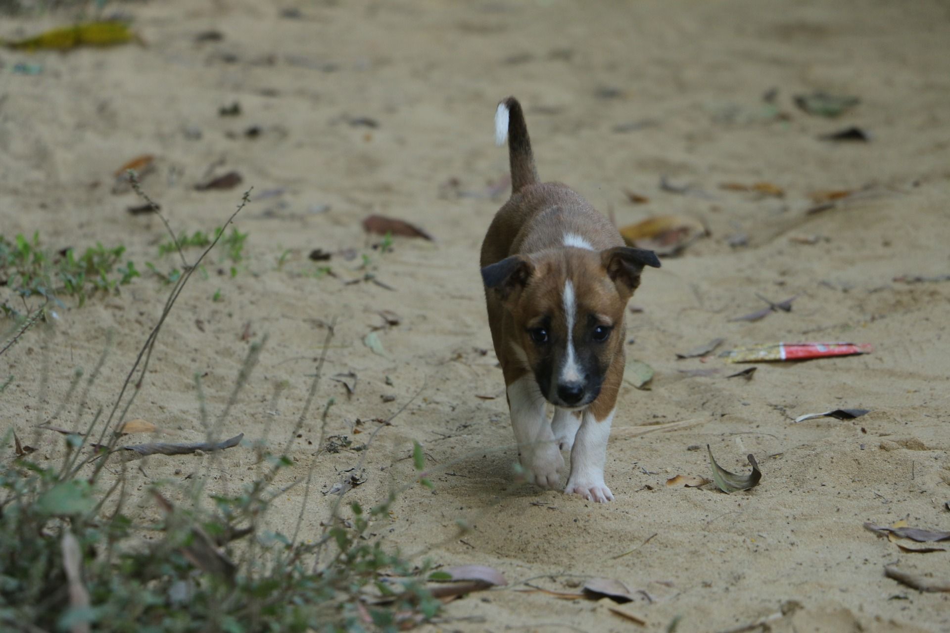 Kindness I encountered from strangers while traveling: Kindness didn't die yet.