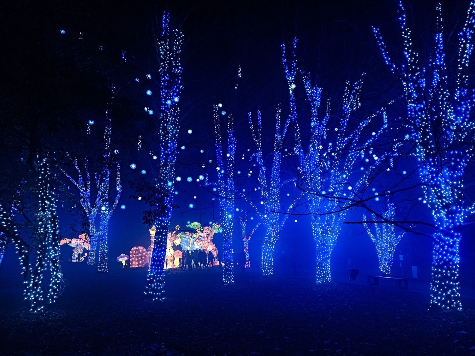 Be like Alice - welcome to the Rabbit Hole