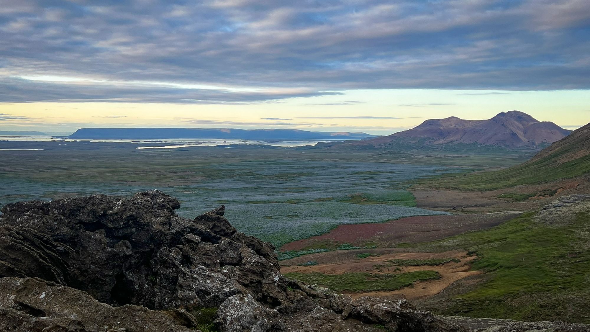 Waiting for Summer: along the lupine road