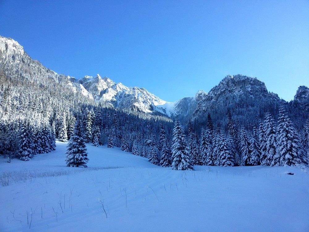 Kościeliska Valley in Winter! (Poland)