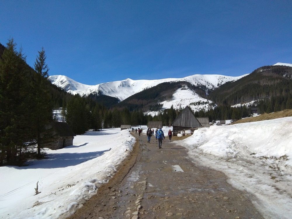 Chochołowska Valley 2019 (Poland)