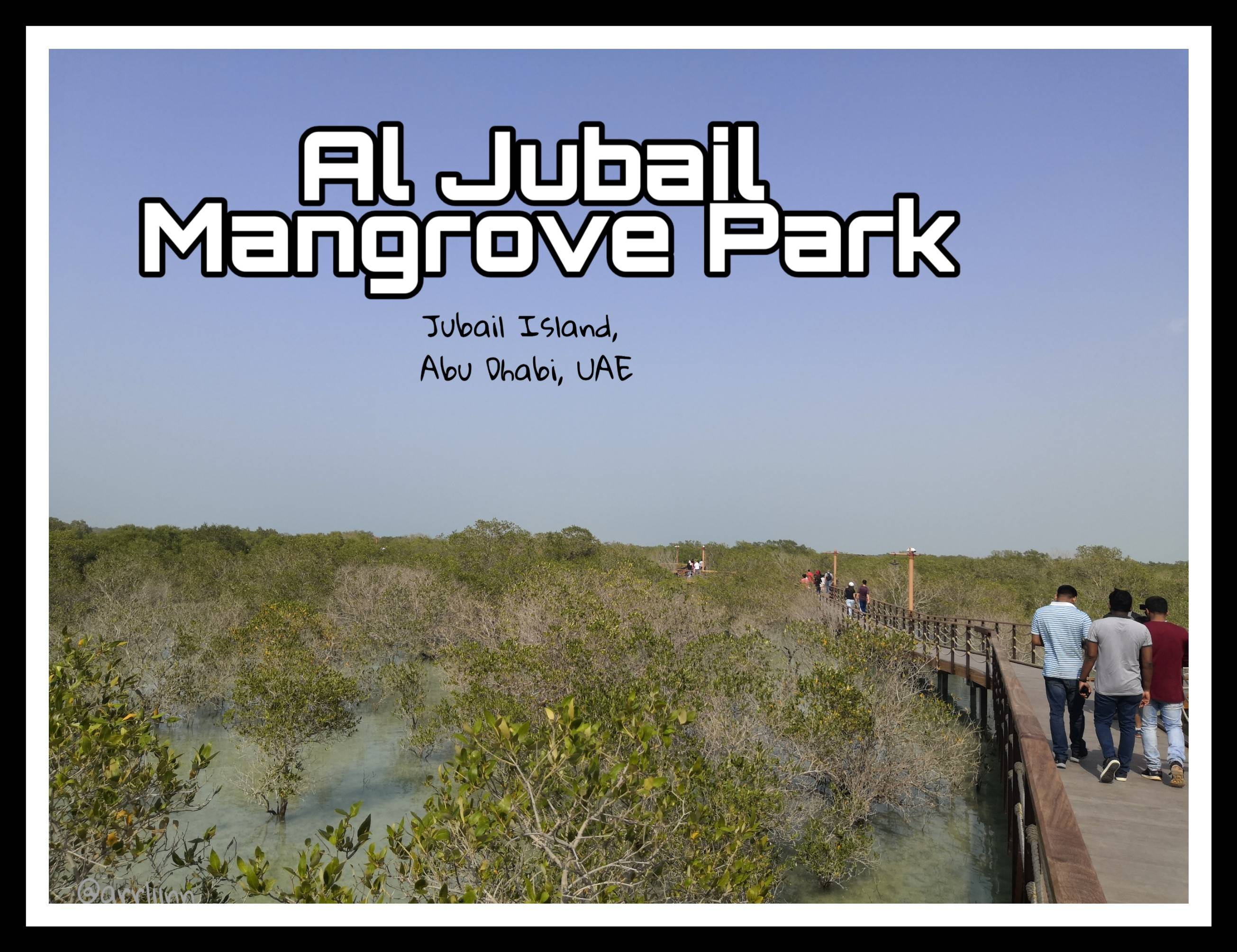 Al Jubail Mangrove Park : Abu Dhabi's Newest Eco-Park