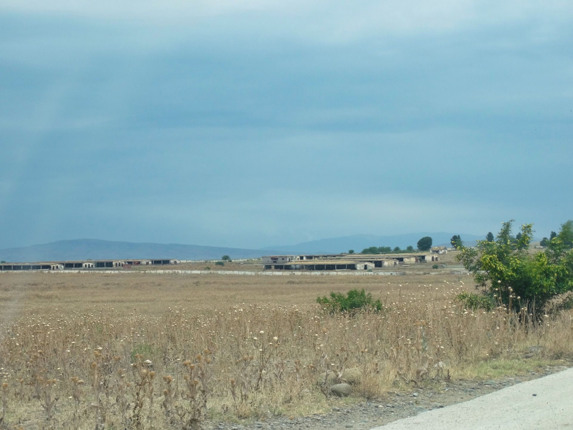 DSC00101.jpg