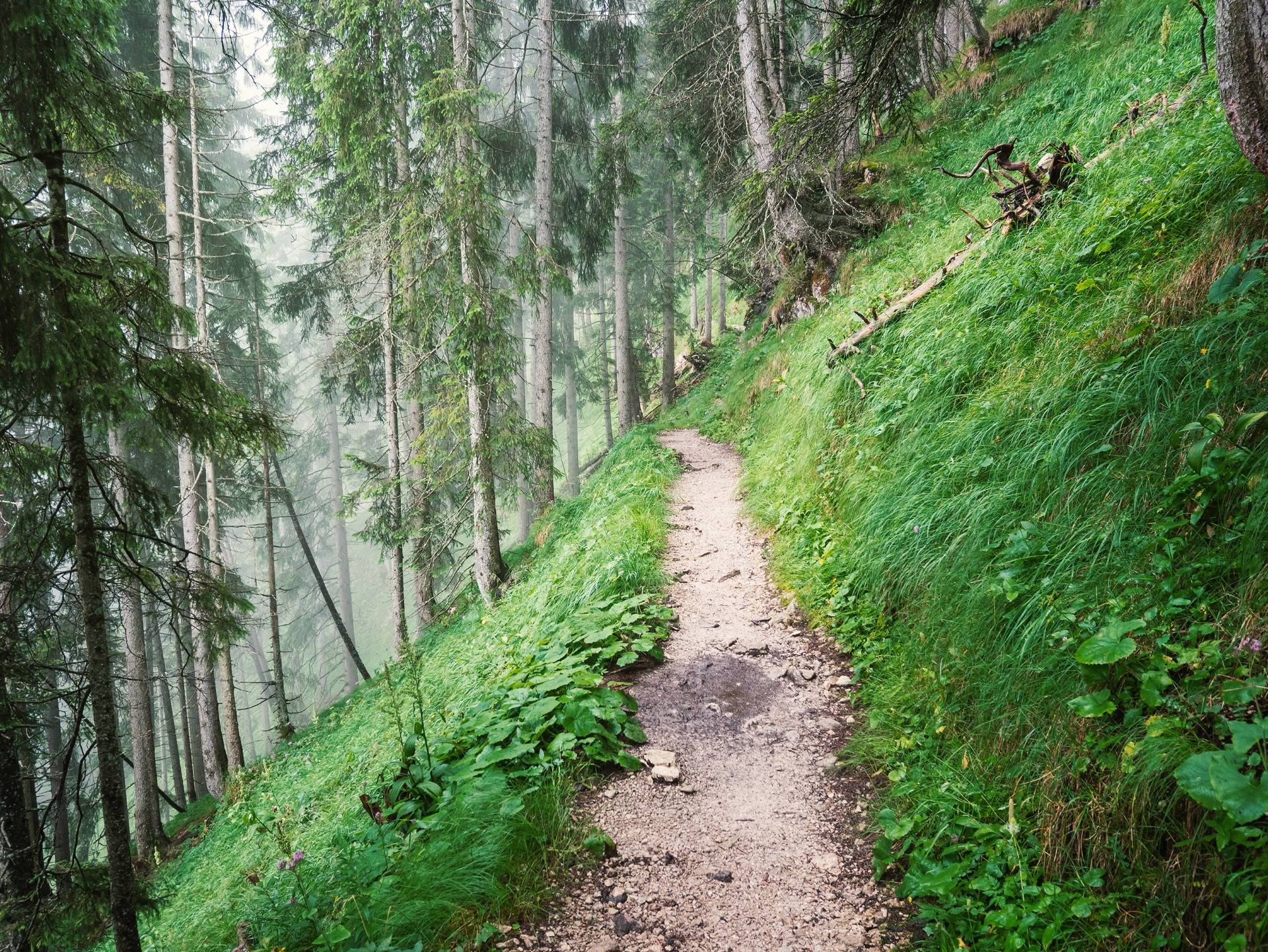 Hiking Trail in Allgau Bavaria