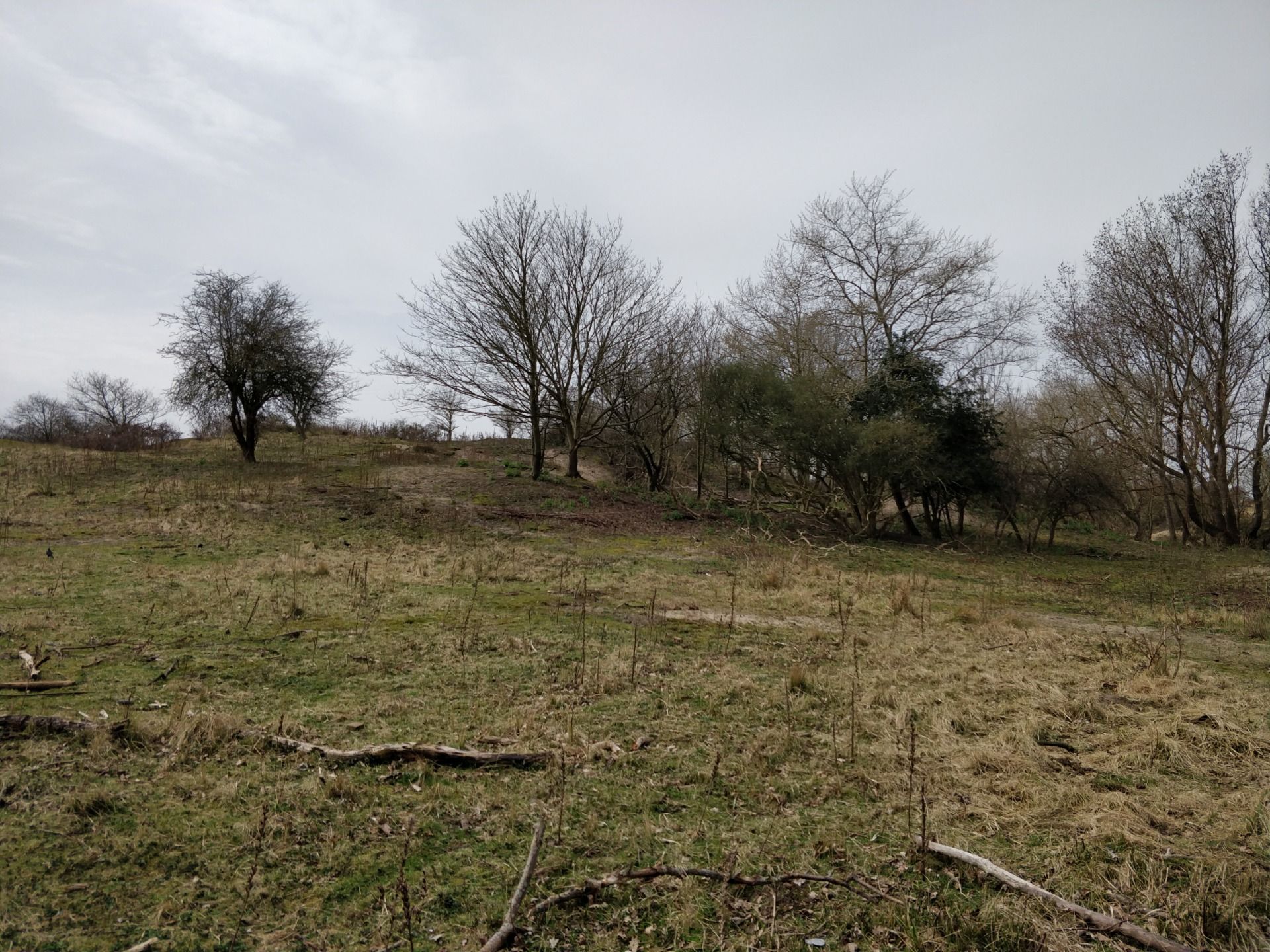 Duinenmars (Kijkduin, The Netherlands)