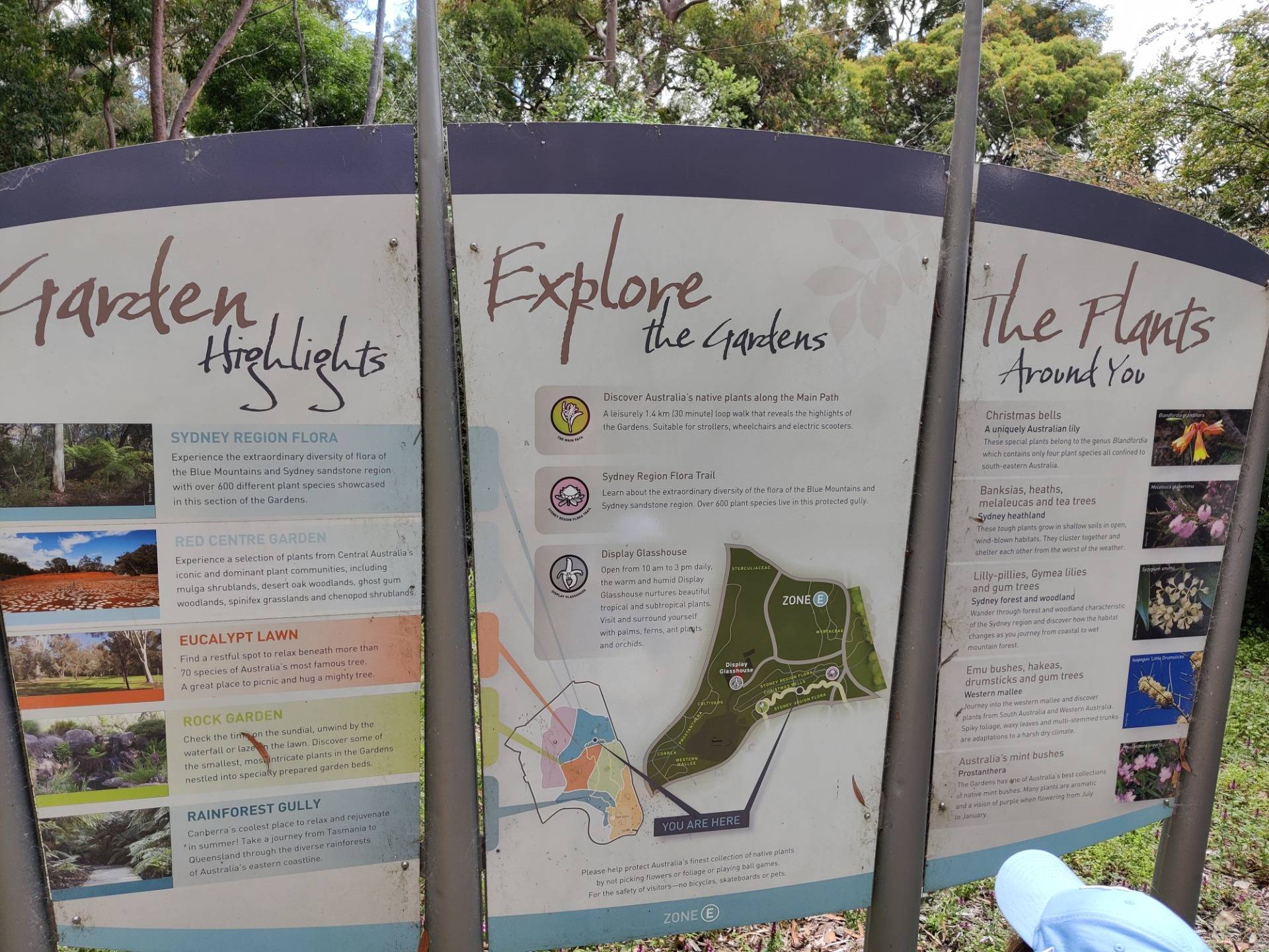 Rediscovering the Australian National Botanic Gardens (Canberra, AUSTRALIA)