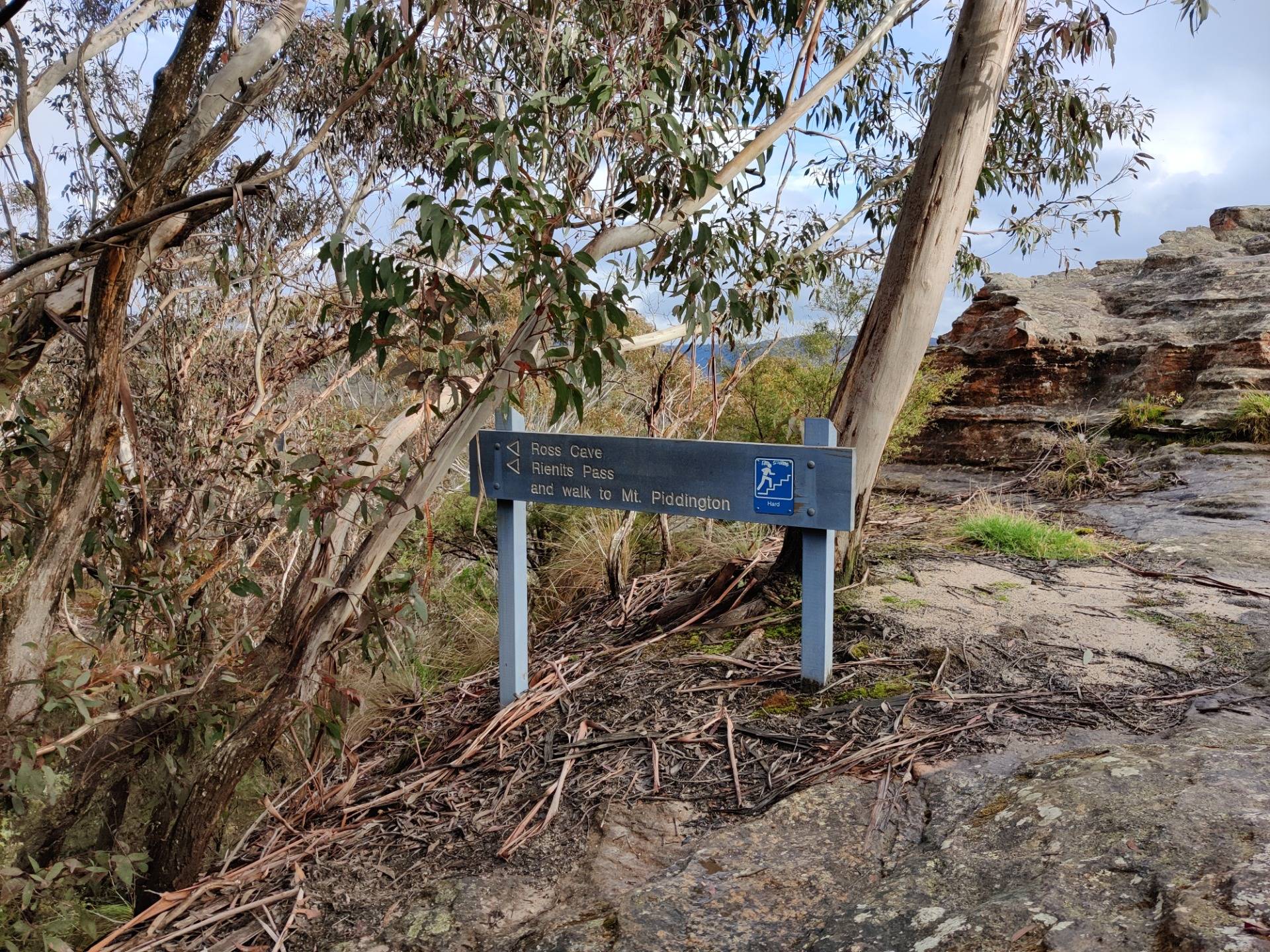 Pulpit Rock: Blue Mountains, AUSTRALIA.jpg