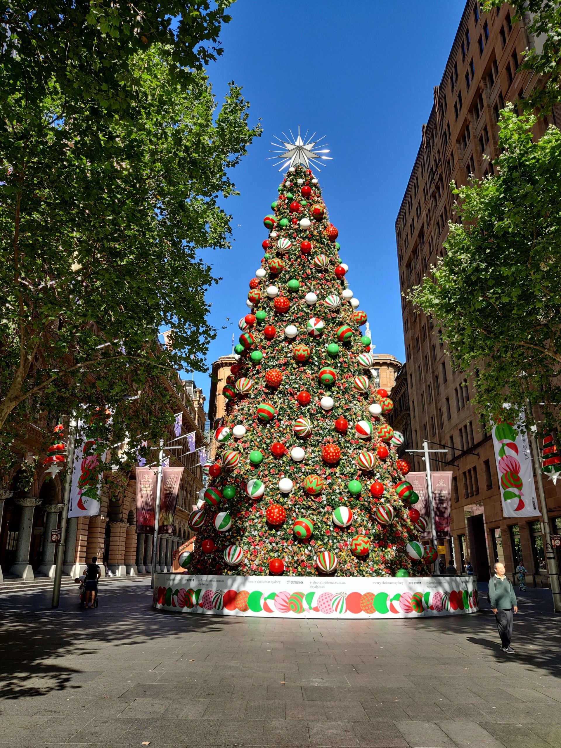 Sydney Christmas Tree at Martin Place