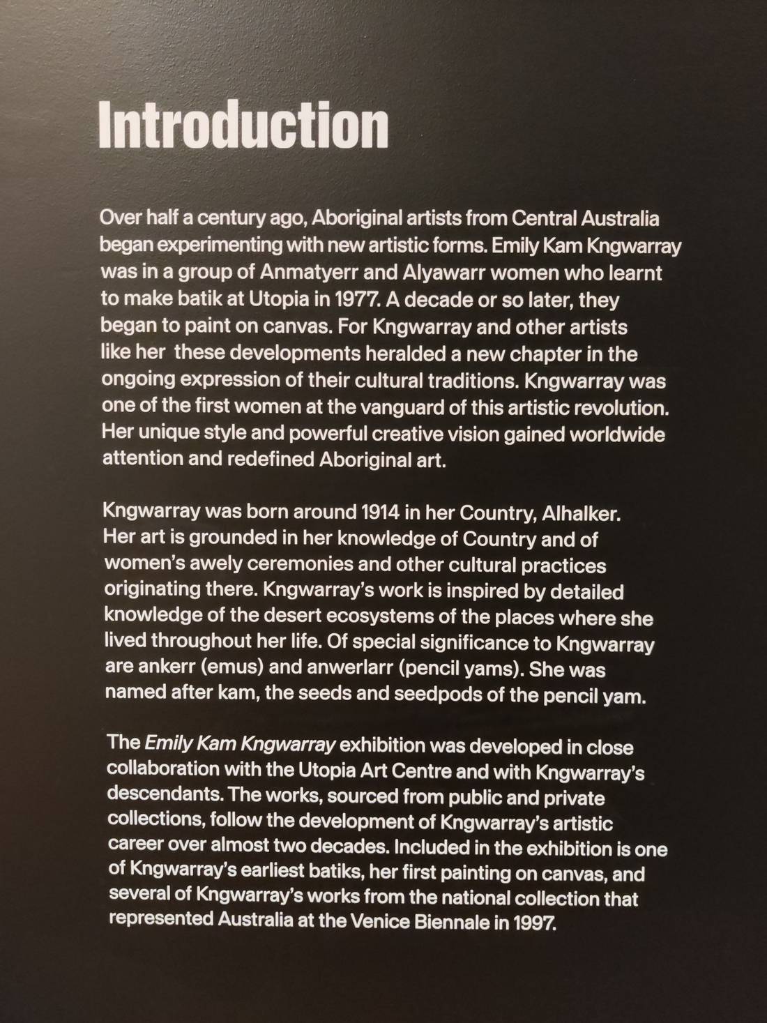 Kngwarray Special Exhibition: National Gallery of Australia.jpg