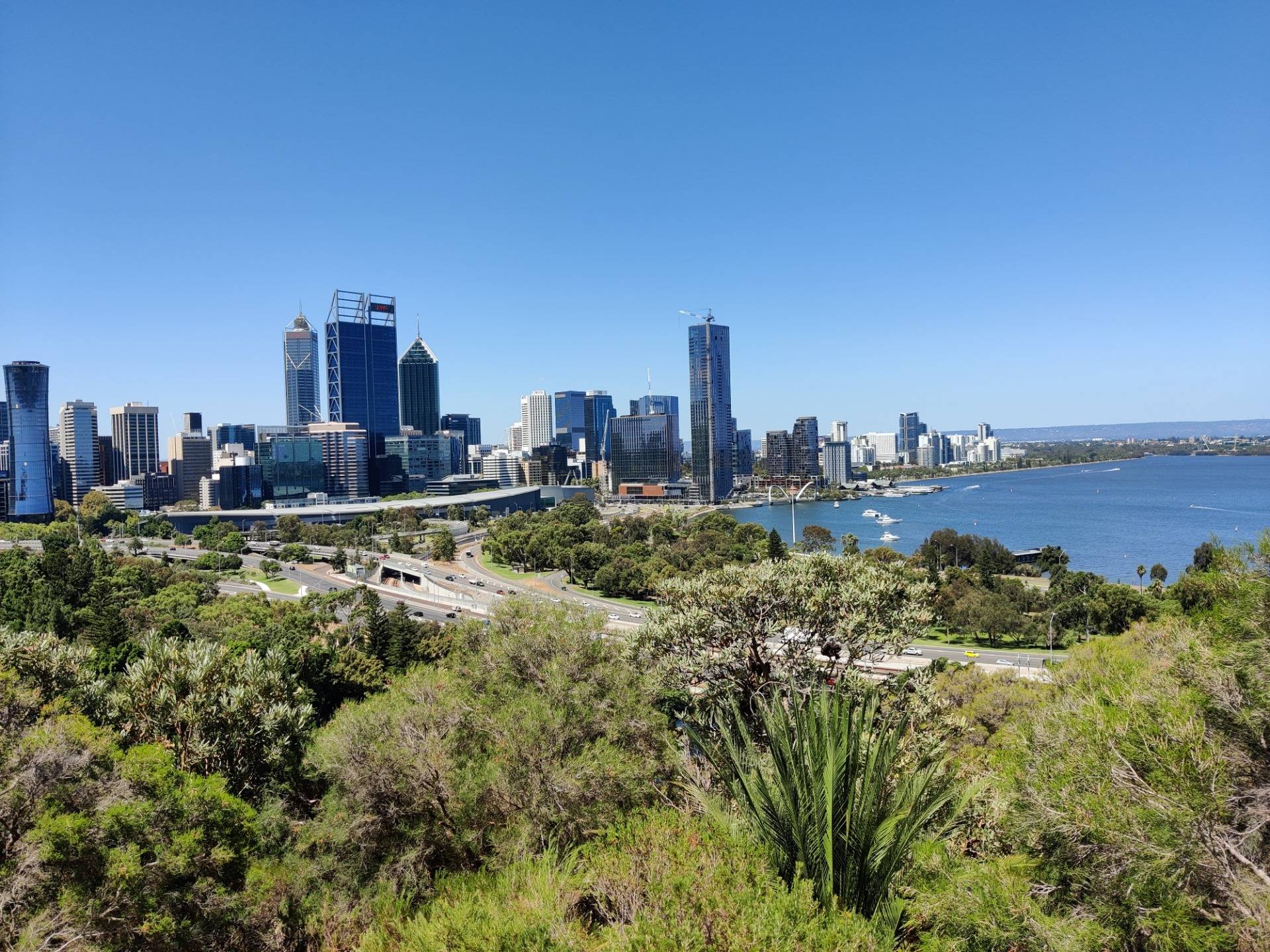 Last photos from our King's Park Walk: Perth, AUSTRALIA