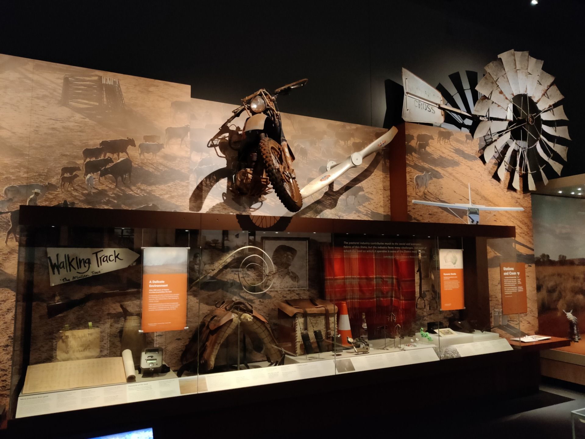 Western Australian Museum: PERTH, AUSTRALIA.jpg