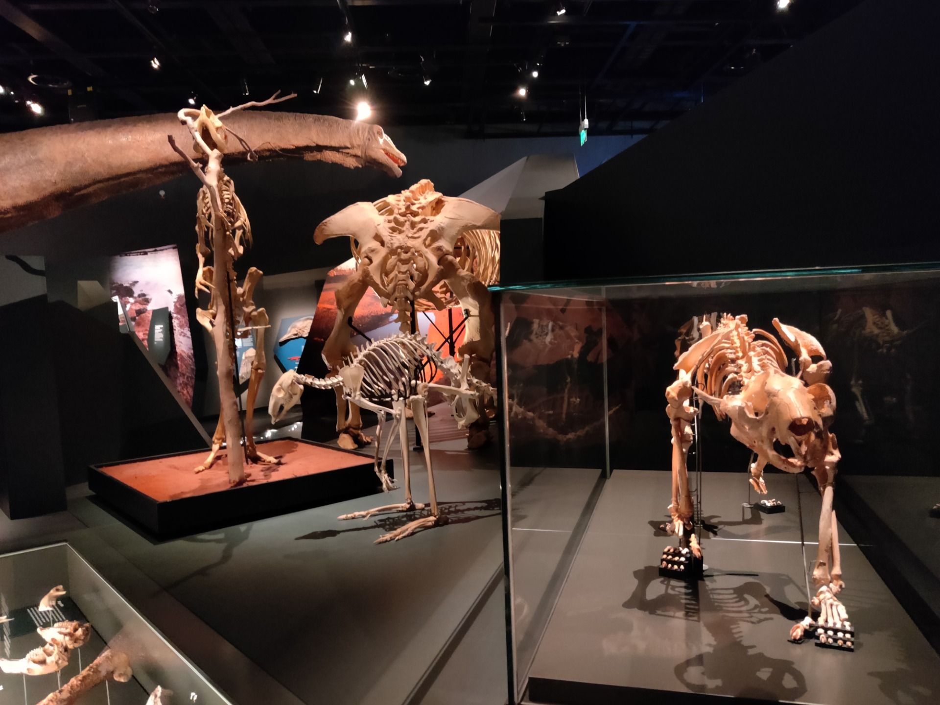 Western Australian Museum: PERTH, AUSTRALIA.jpg